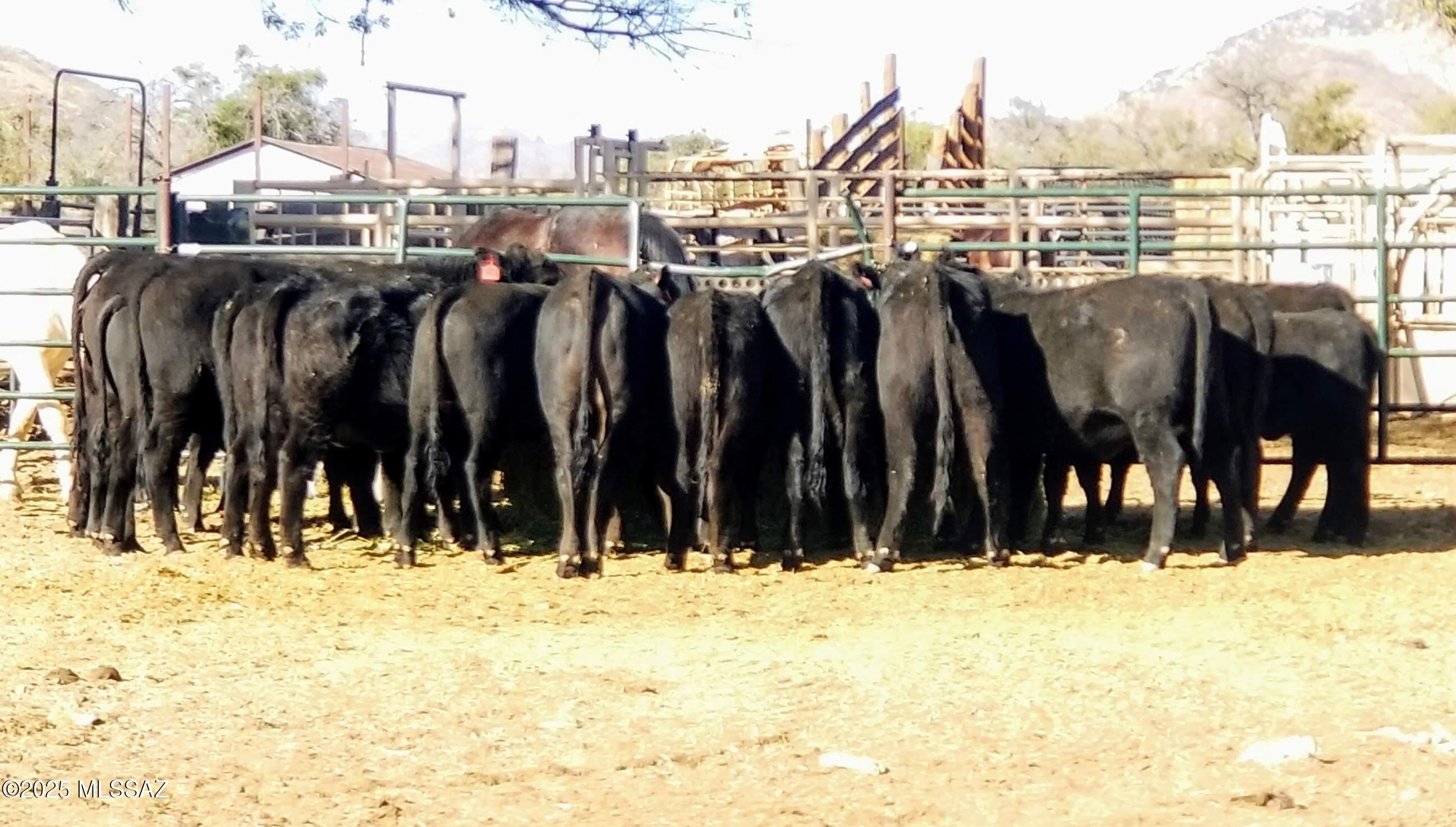 N/A - Farm