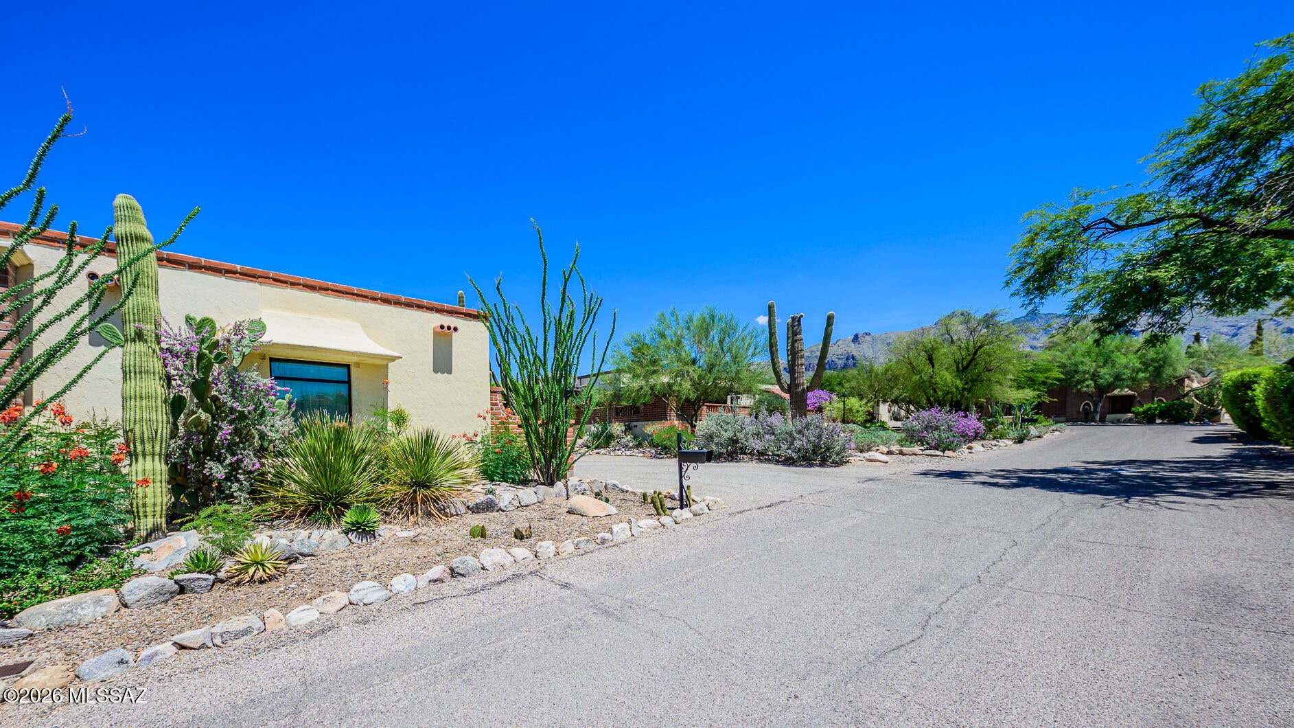6325 N Calle Del Caballo
