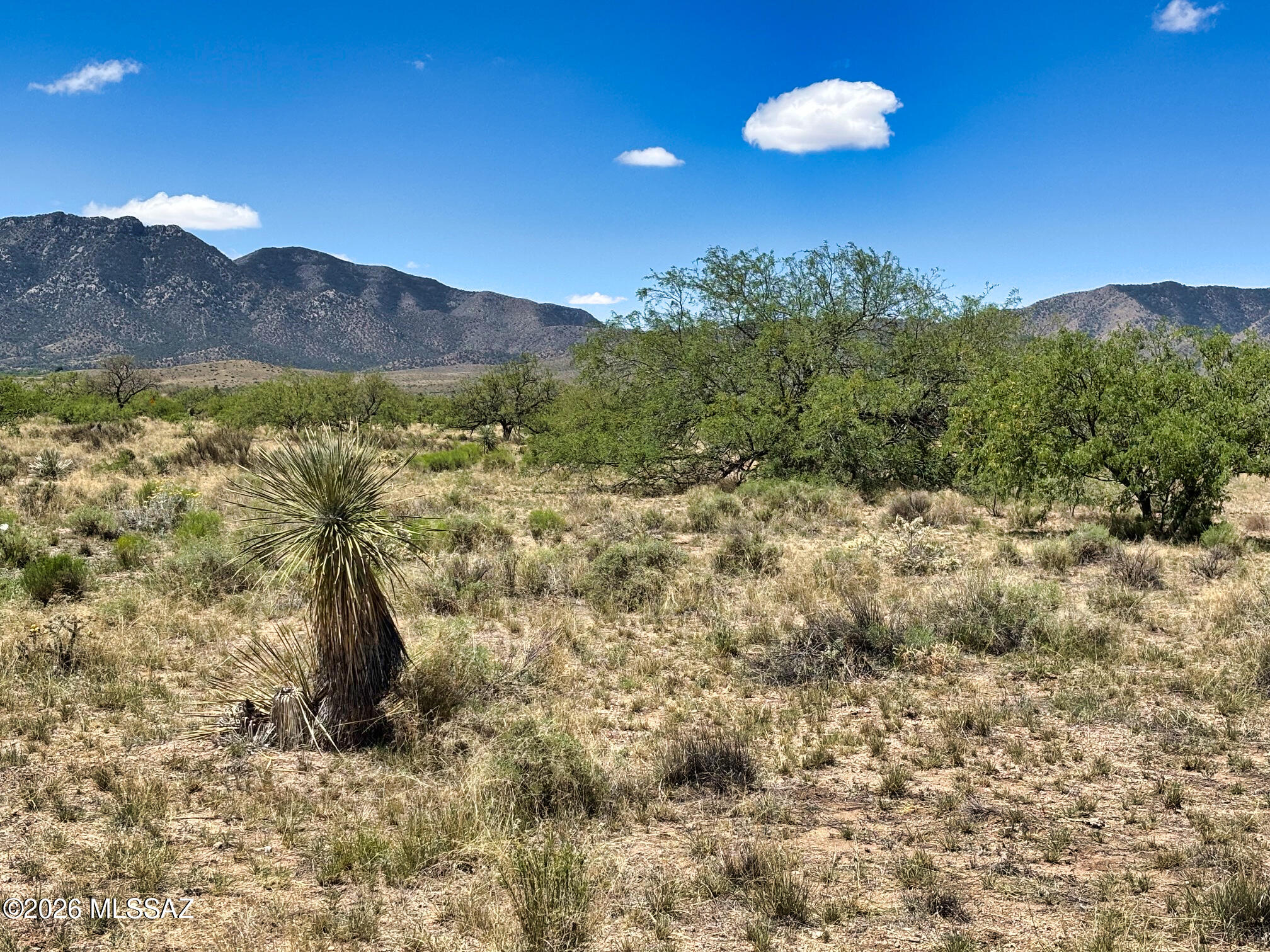 Arizona Sun Sites - Land