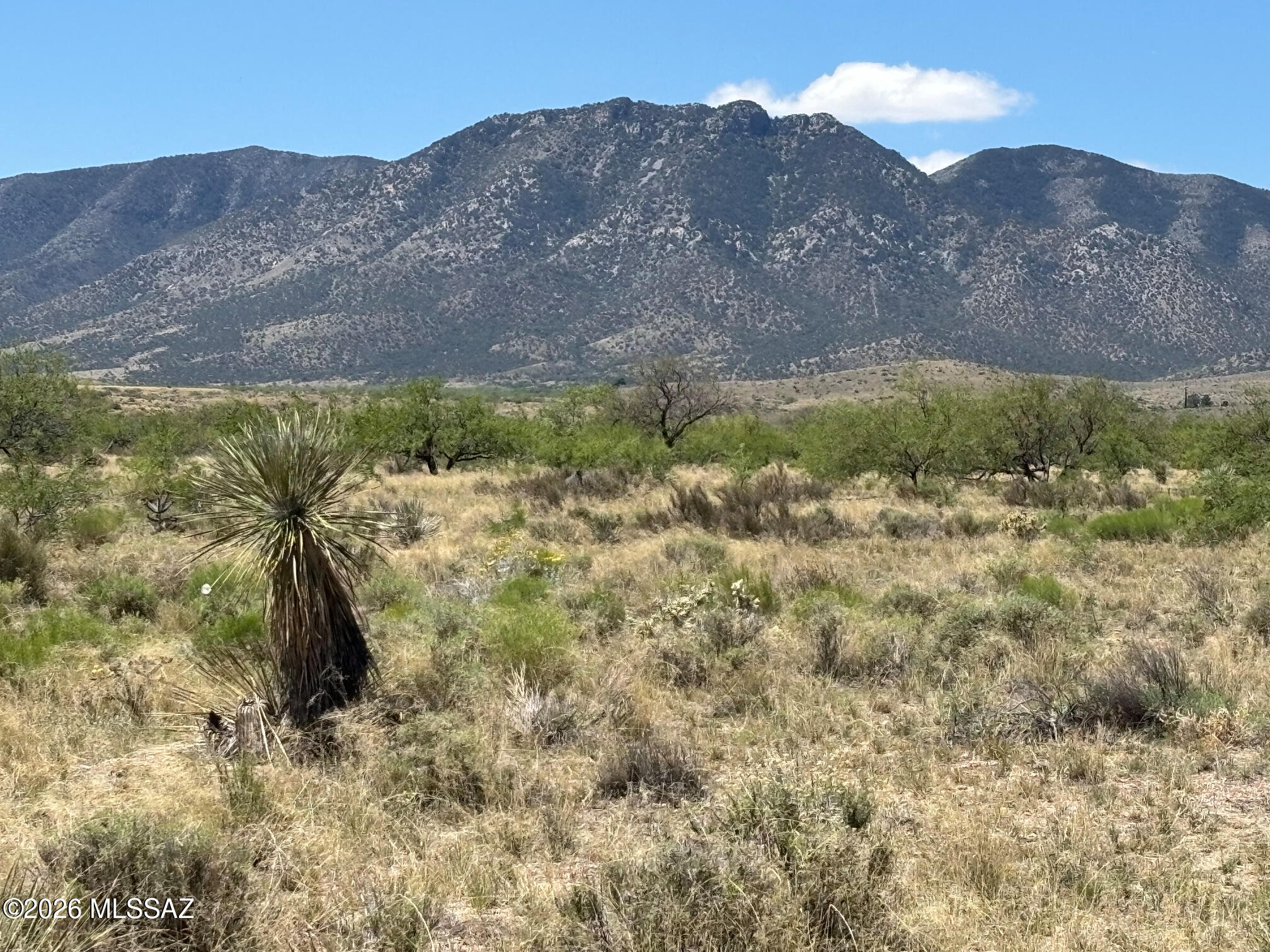 Arizona Sun Sites - Land