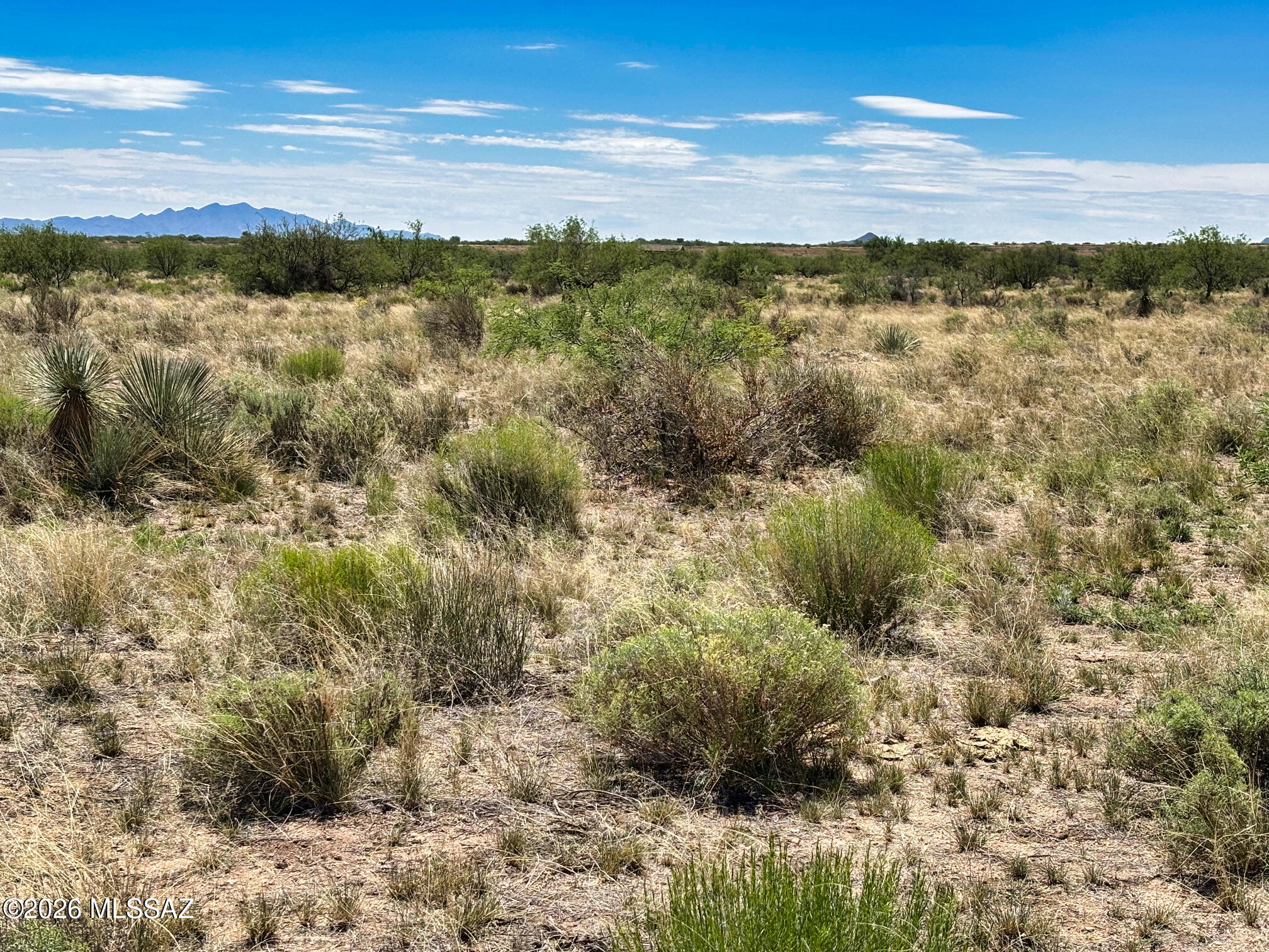 Arizona Sun Sites - Land