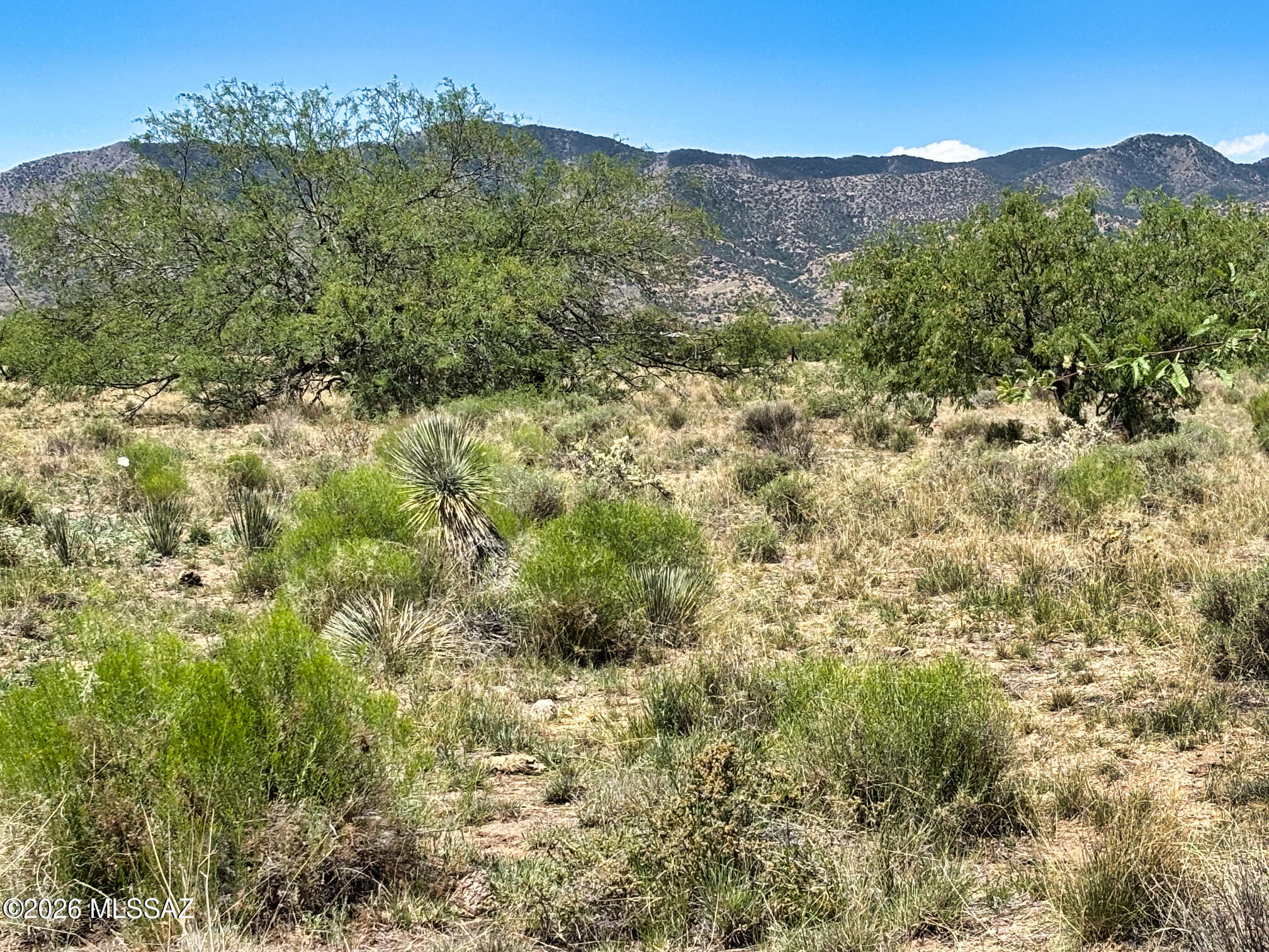 Arizona Sun Sites - Land
