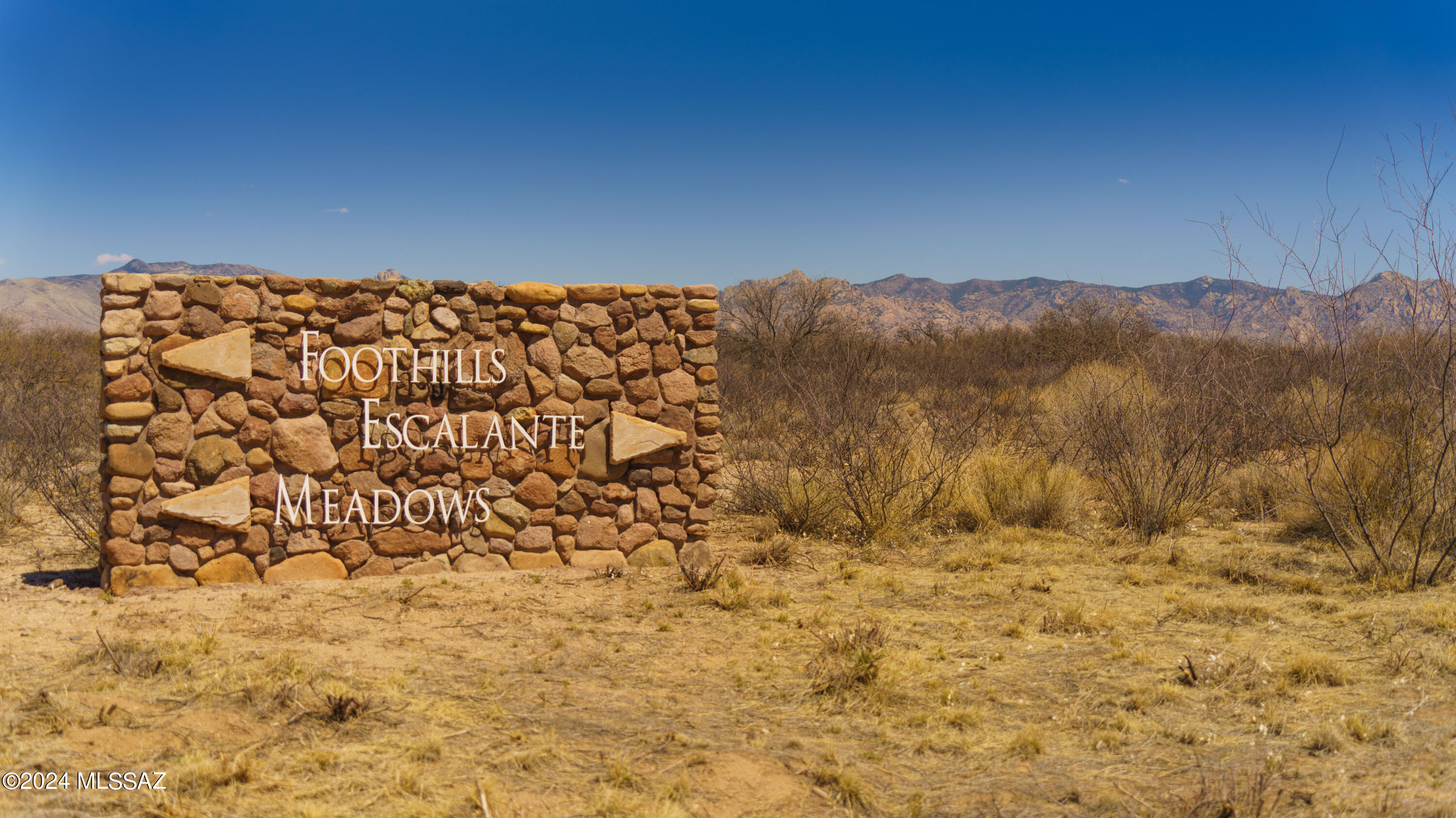 Dragoon Mountain Ranch - Land