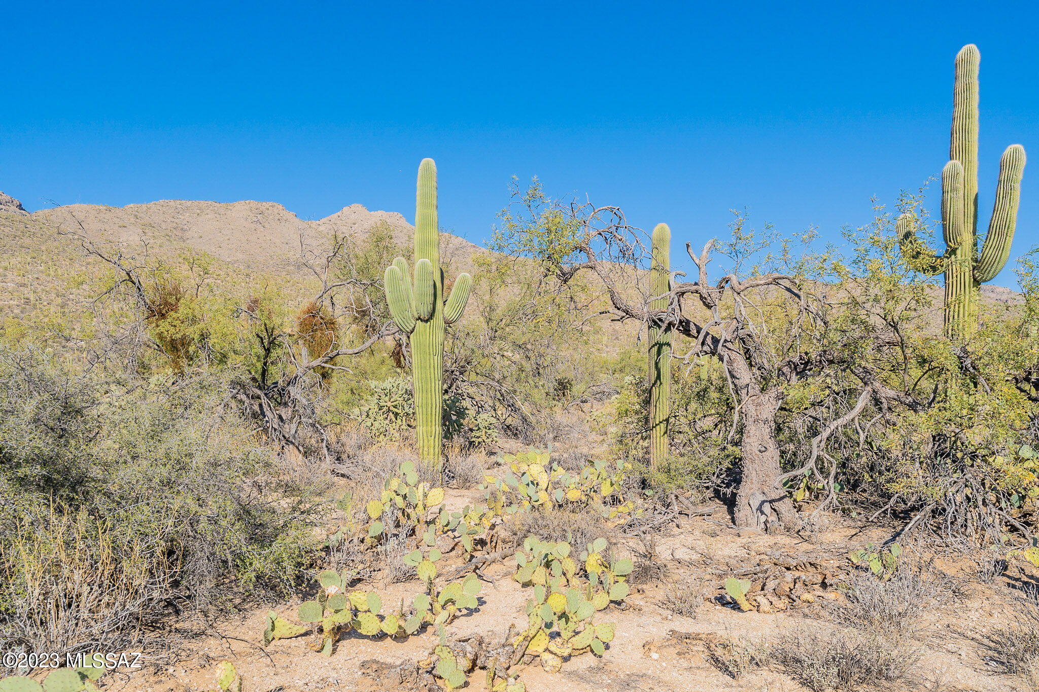 0000 N Melpomene Way K