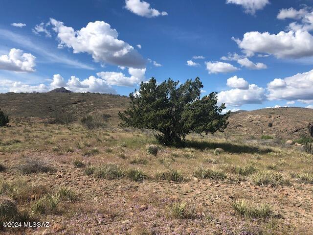 Sonoita Creek Ranch Unit 2 - Land