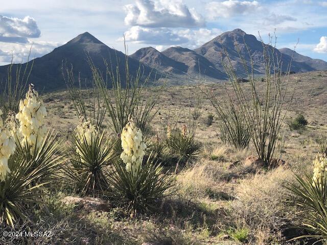 Sonoita Creek Ranch Unit 2 - Land