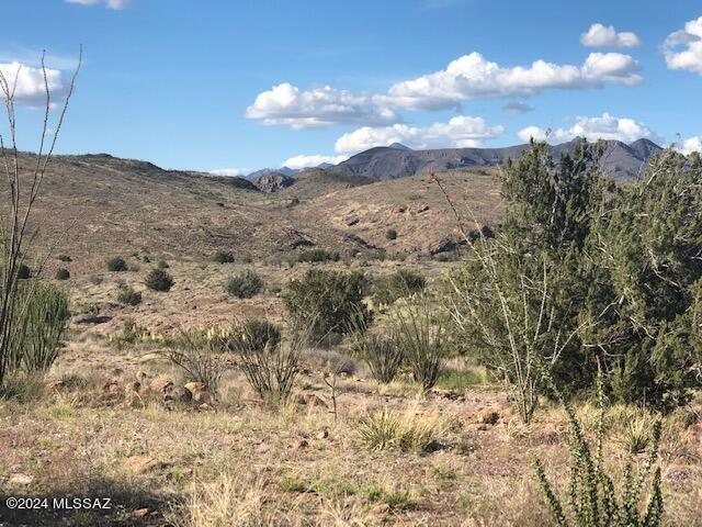 Sonoita Creek Ranch Unit 2 - Land