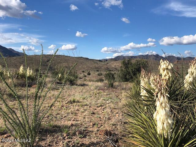 Sonoita Creek Ranch Unit 2 - Land