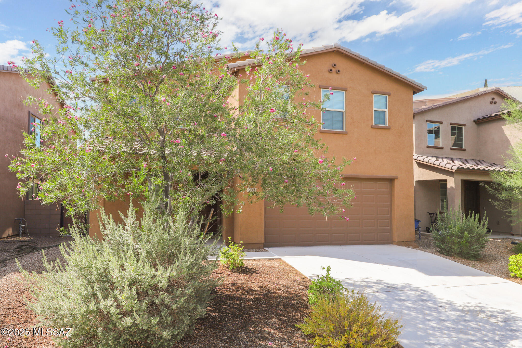 937 W Calle Tronco Seco