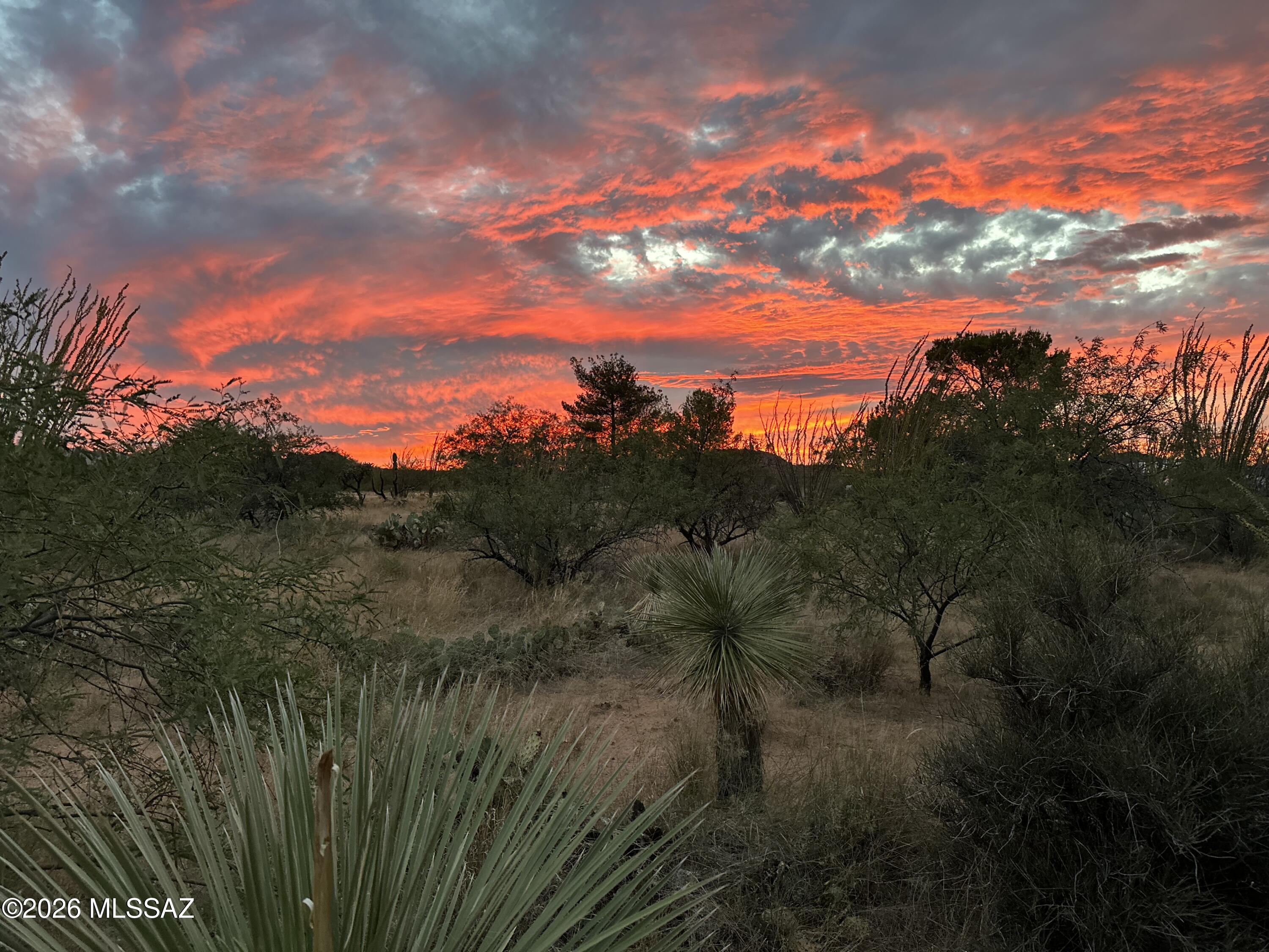 7530 W Bucking Horse Road