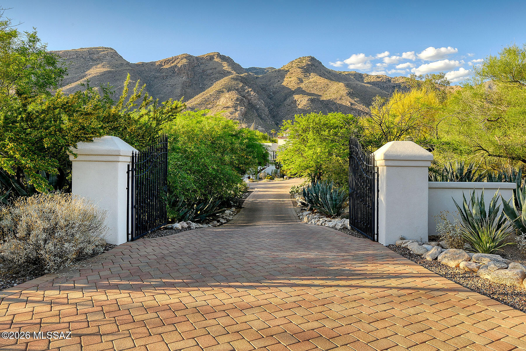 6631 N Los Leones Drive