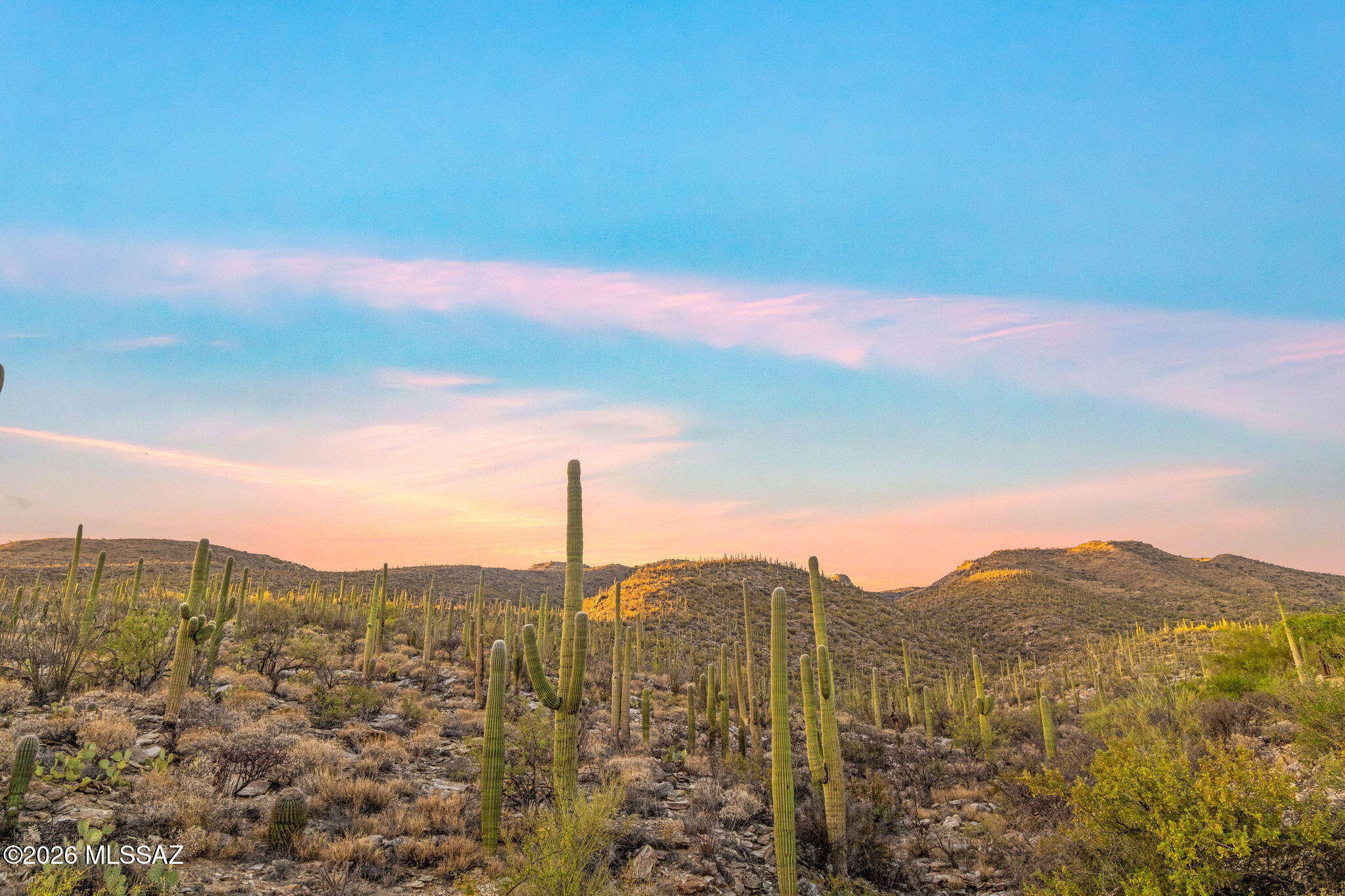 5332 N Sonoran Canyon Pl 31