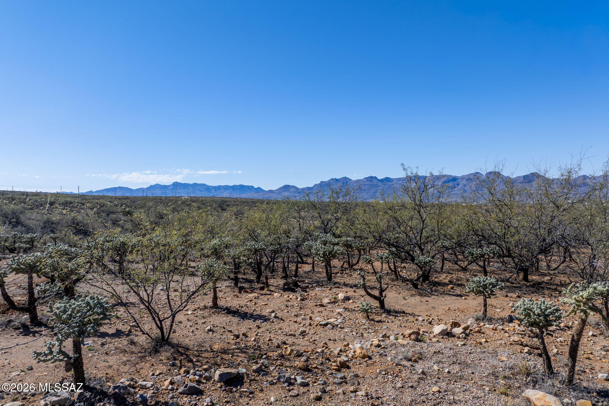 Rio Rico Ranchettes 18 - Land