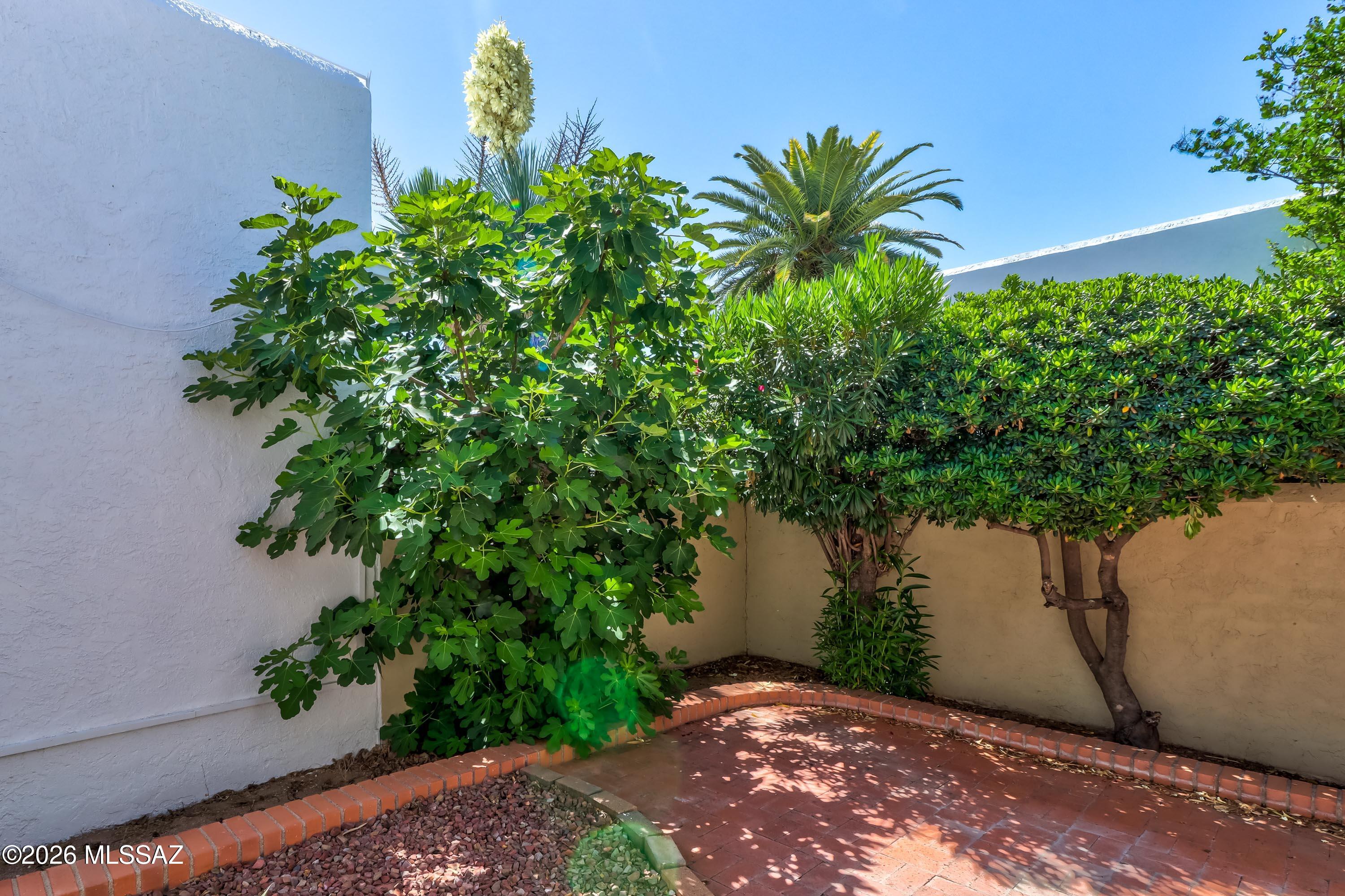 La Toluca Townhouses - Residential