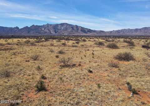 2 Lots W Tipton 8 & 9 Pearce AZ 85625