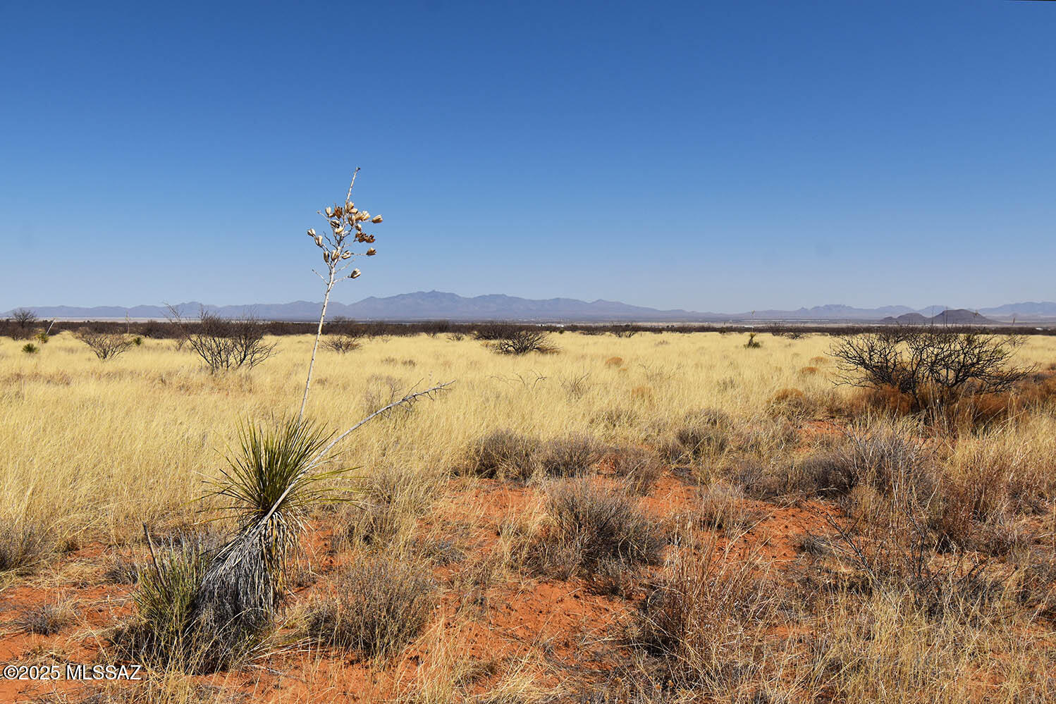 Arizona Sun Sites - Land