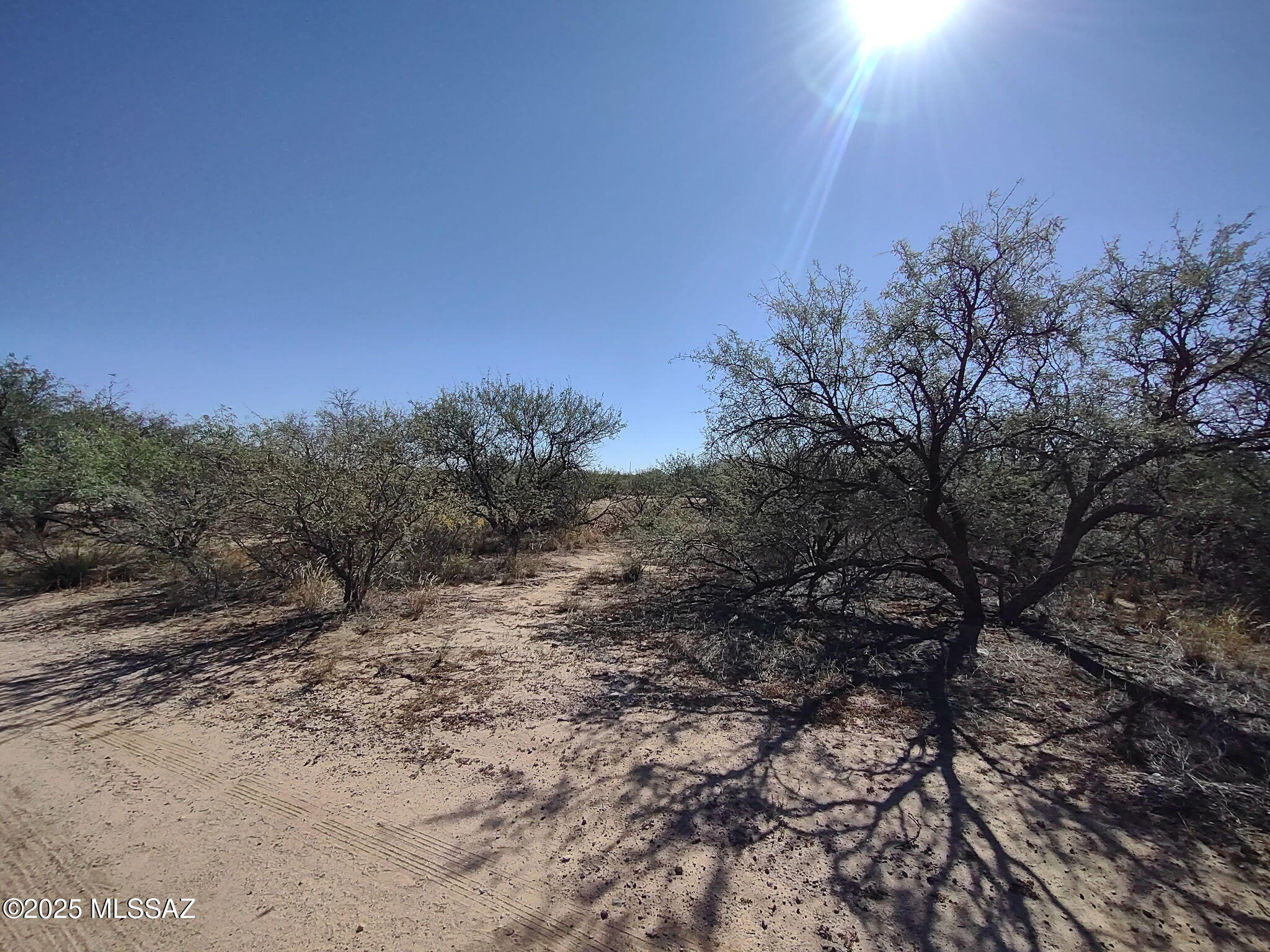 Out Of Pima County - Land