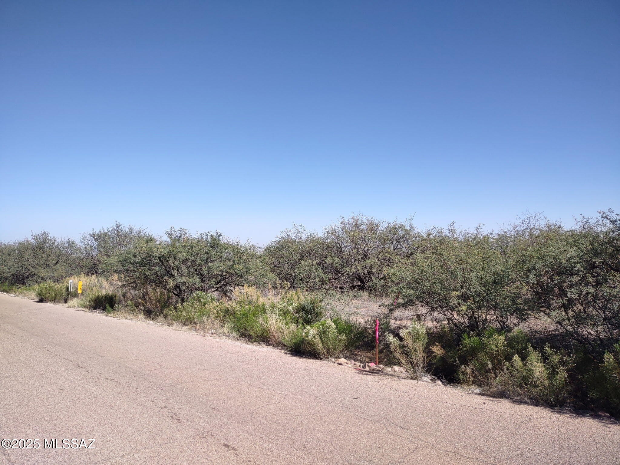 Out Of Pima County - Land