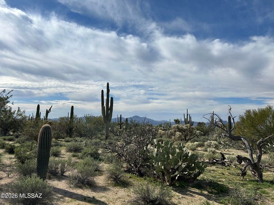 28 N TUCSON TER, TUCSON, AZ 85745 - Image 2dfbfdda0f32b7939fa9a3c6bb2c3b36/799230878