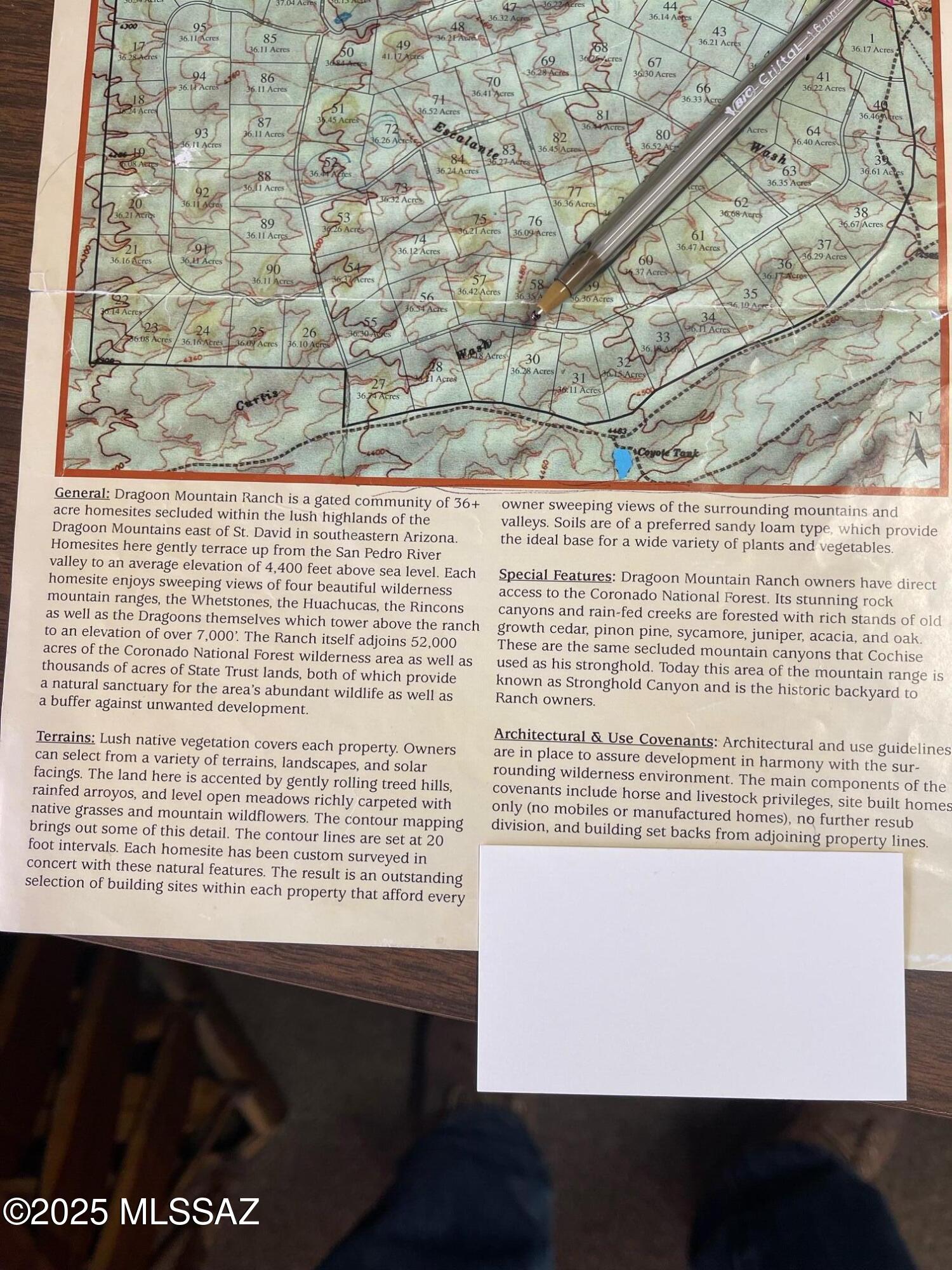 Dragoon Mountain Ranch - Land