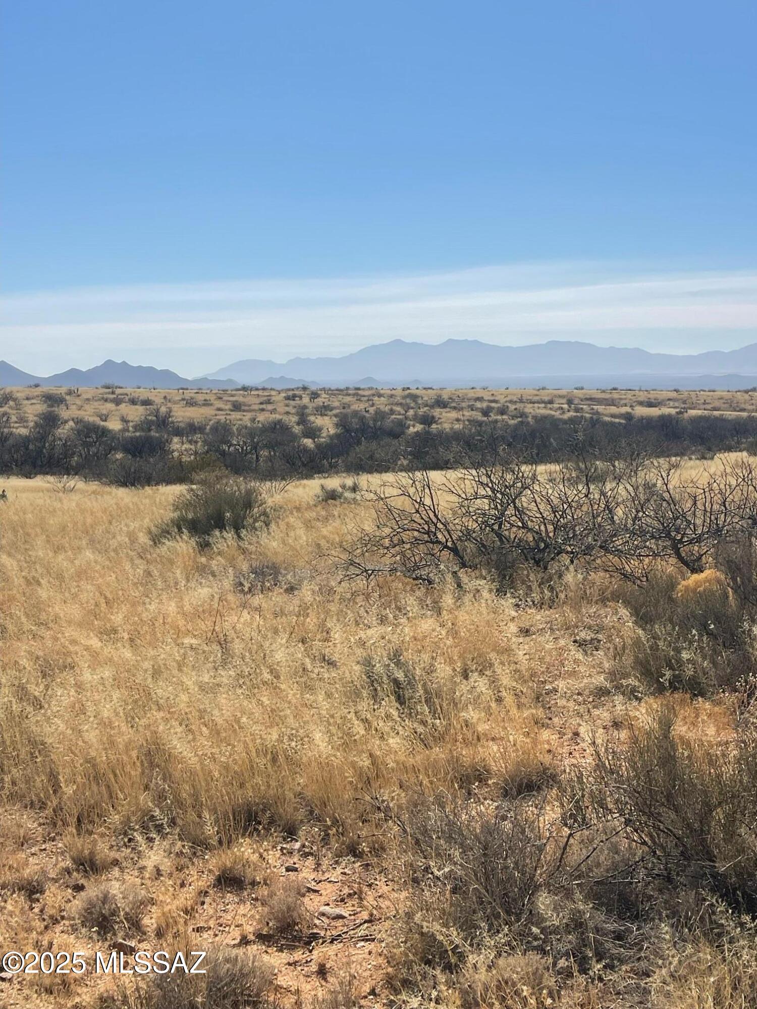 Dragoon Mountain Ranch - Land