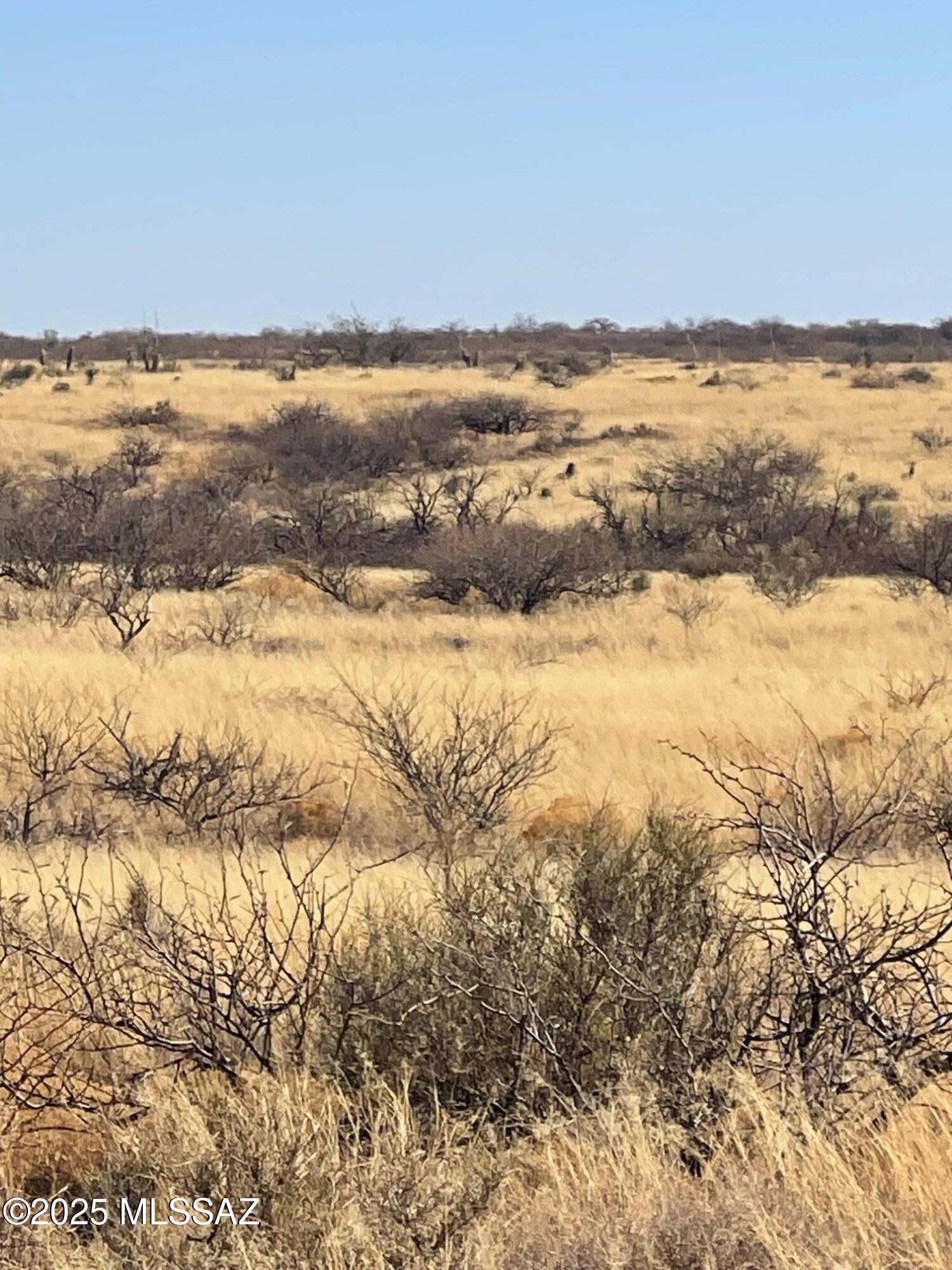 Dragoon Mountain Ranch - Land