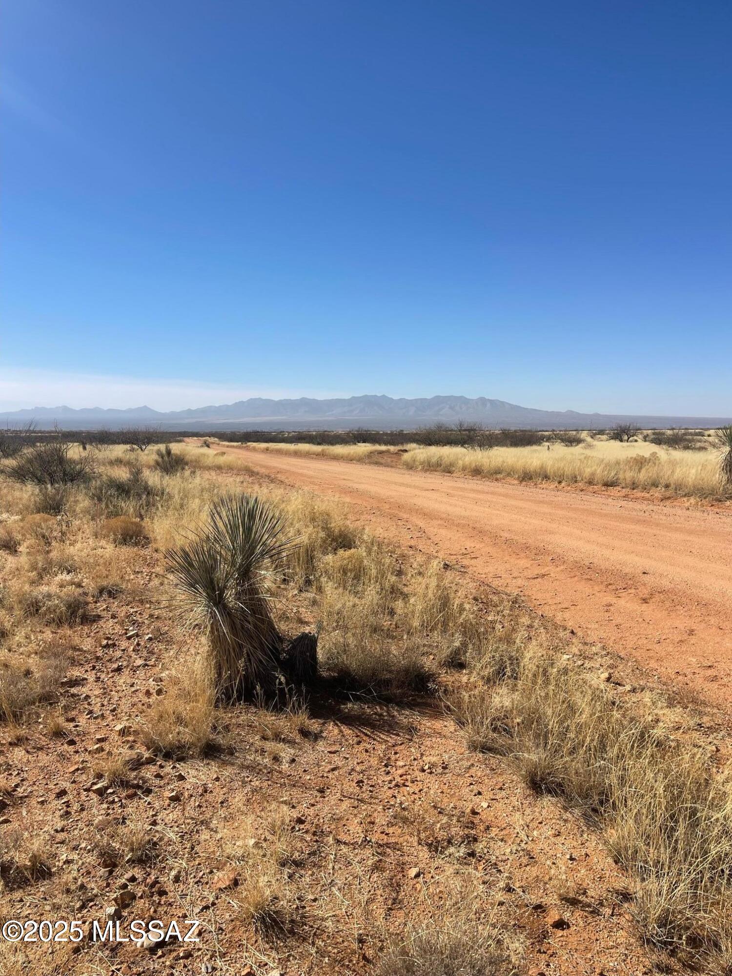 Dragoon Mountain Ranch - Land