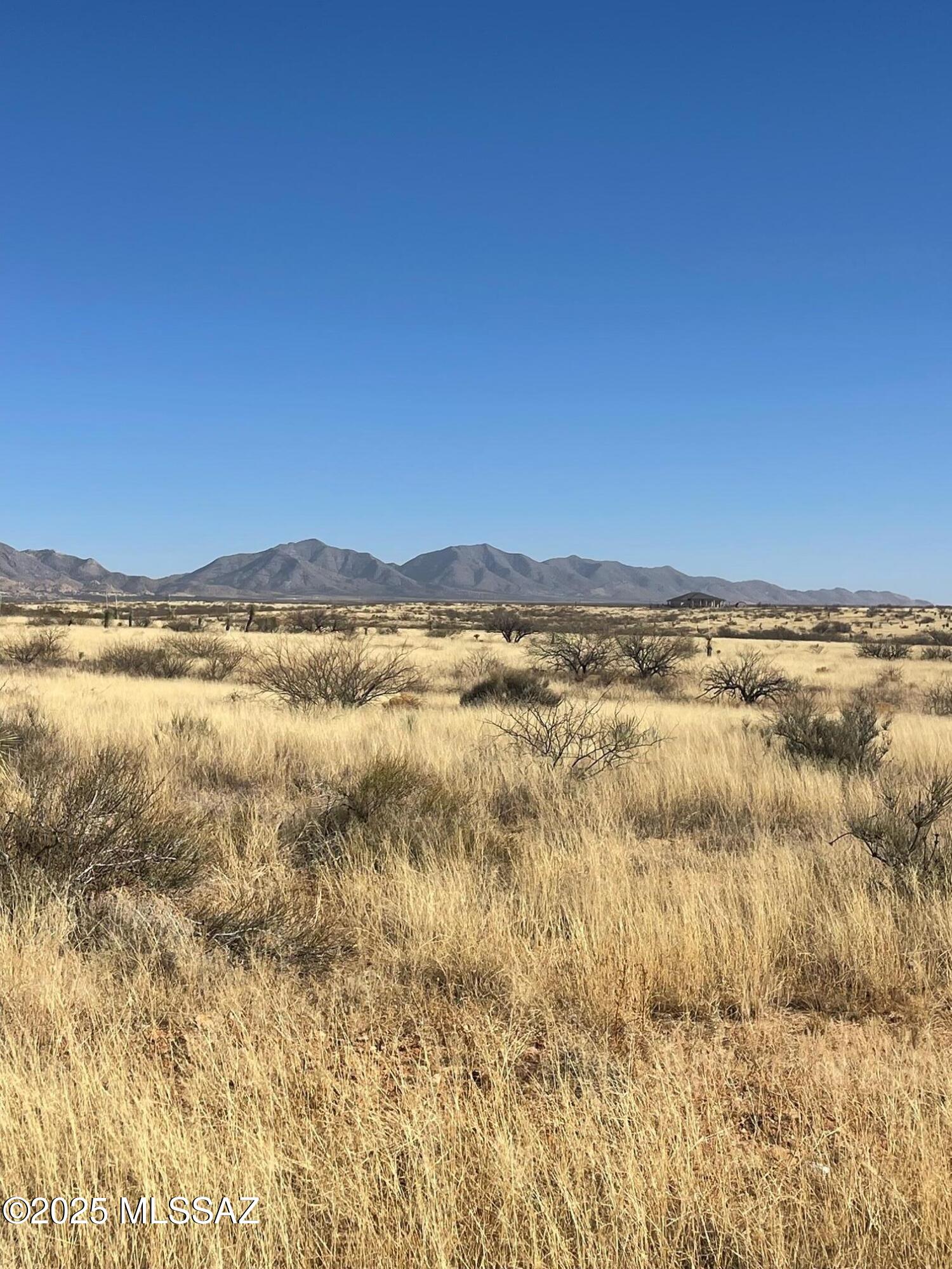 Dragoon Mountain Ranch - Land