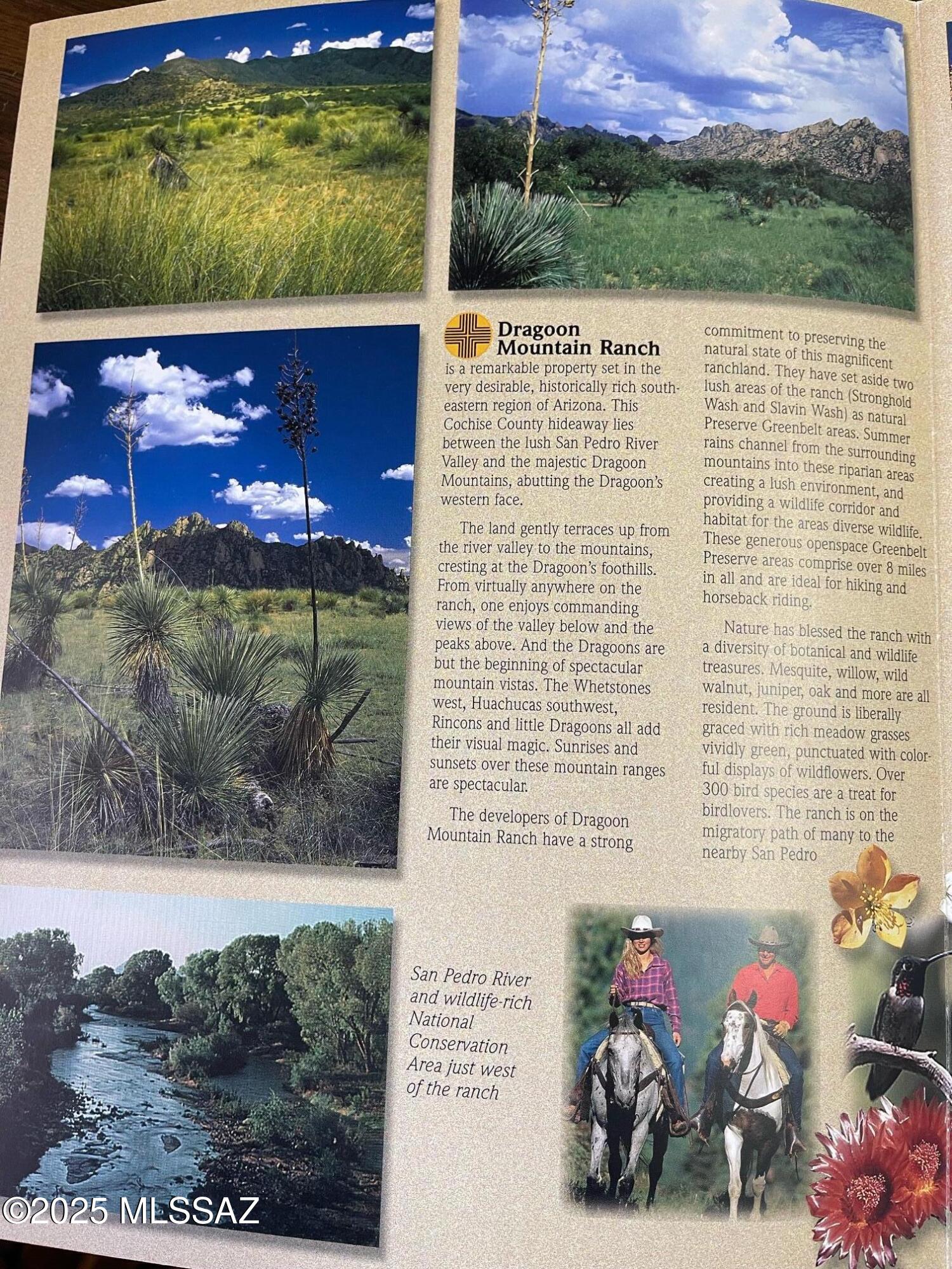 Dragoon Mountain Ranch - Land