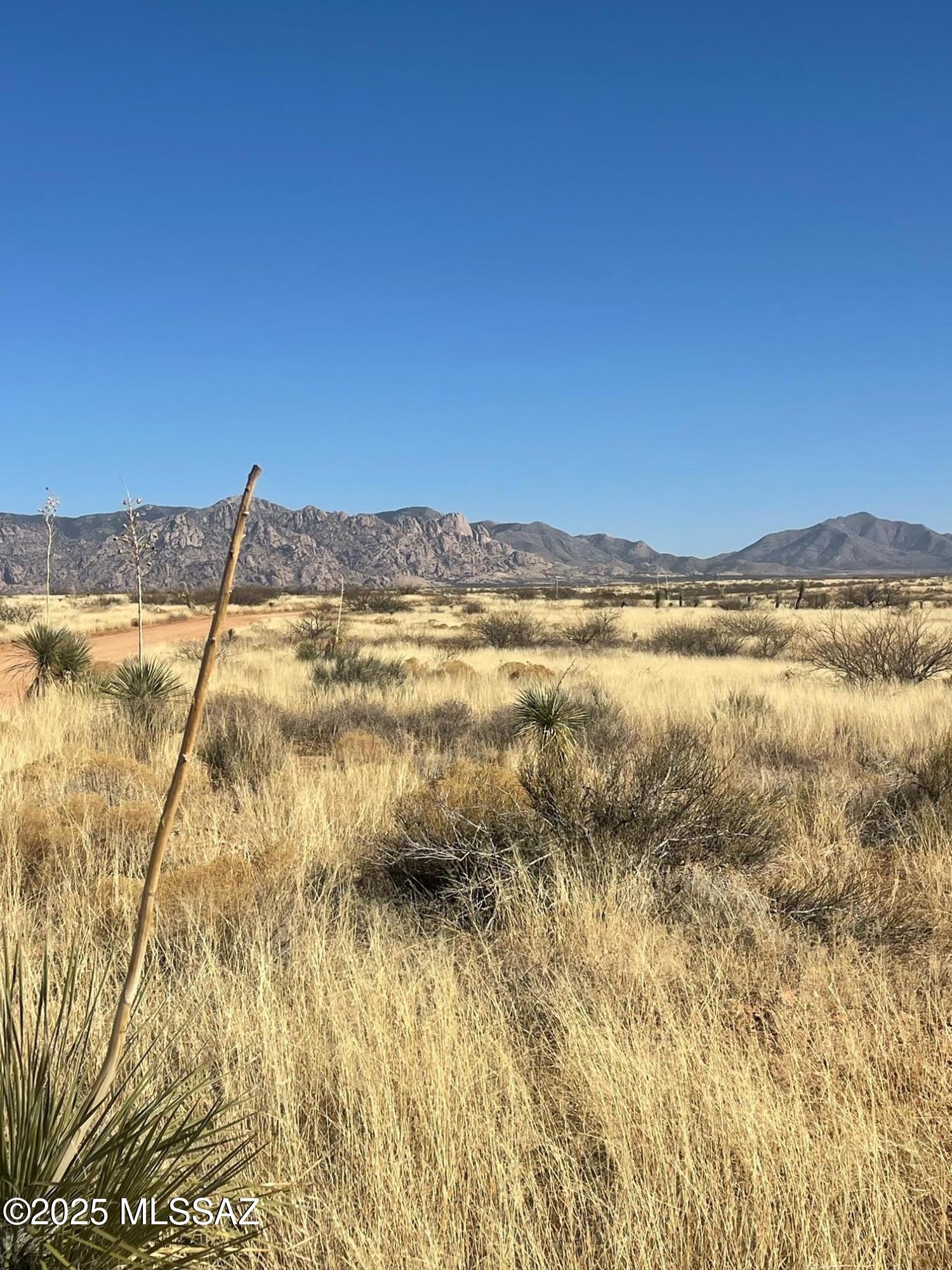 Dragoon Mountain Ranch - Land