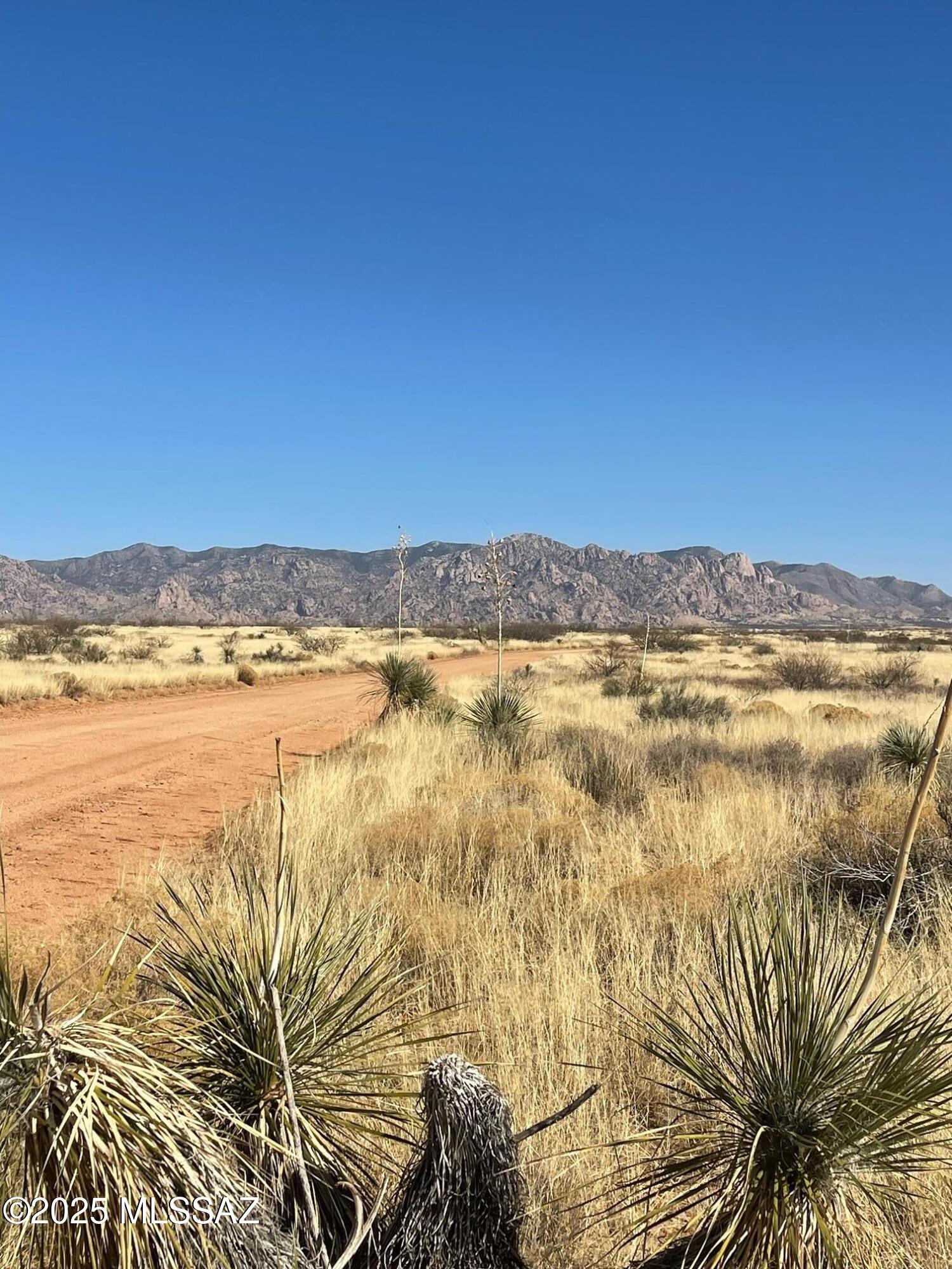 Dragoon Mountain Ranch - Land