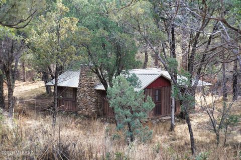 13223 E Turkey Creek Road Pearce AZ 85625