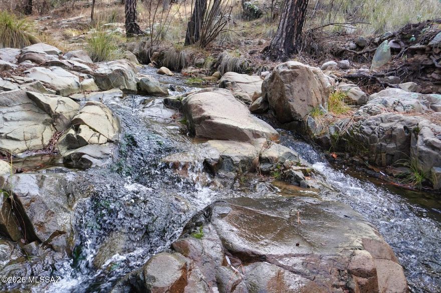 Wow! Here's your change to get a Forest Cabin in the Chiricahua Mountains. These do not come available often. Beautiful surroundings. Sits right on Turkey Creek. Heavily wooded setting. Peace and Serenity. Lots of wildlife and birds. Easy access on a county maintained road. Cabin is owned. It sits on a forest lease lot. Cash sale only because of this. 2 bedroom, 1 bath. Wood stove. Wood interior with wood beams. Vintage kitchen touches such as enamel 2 bay sink and vintage range. New metal roof. New vinyl flooring. Updated electrical service. New septic leach lines. New wood stove. New On Demand Water Heater. Must have an appointment to view. Star link internet works great here! Logs/Siding looks a bit shabby in picts due to needing a coat of fresh paint. See close up picture.