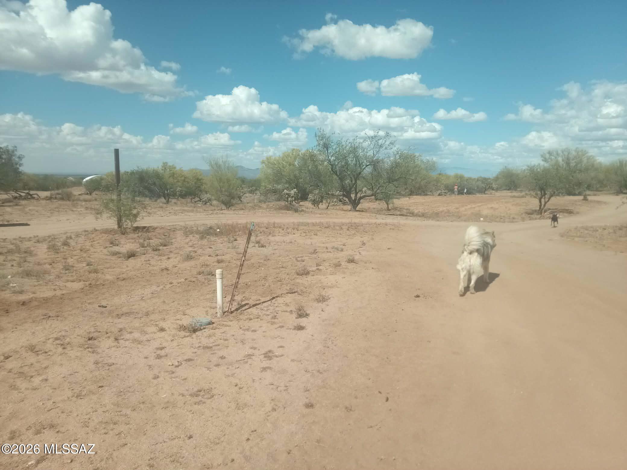 tbd W Lost Valley Loop