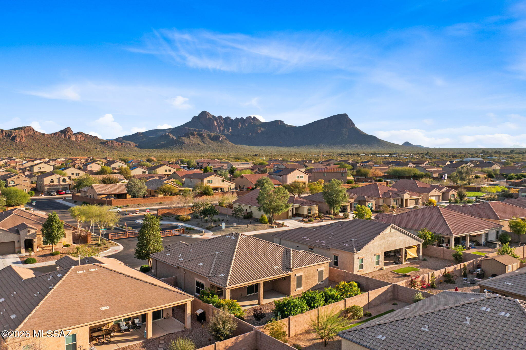 Saguaro Bloom 7B - Residential