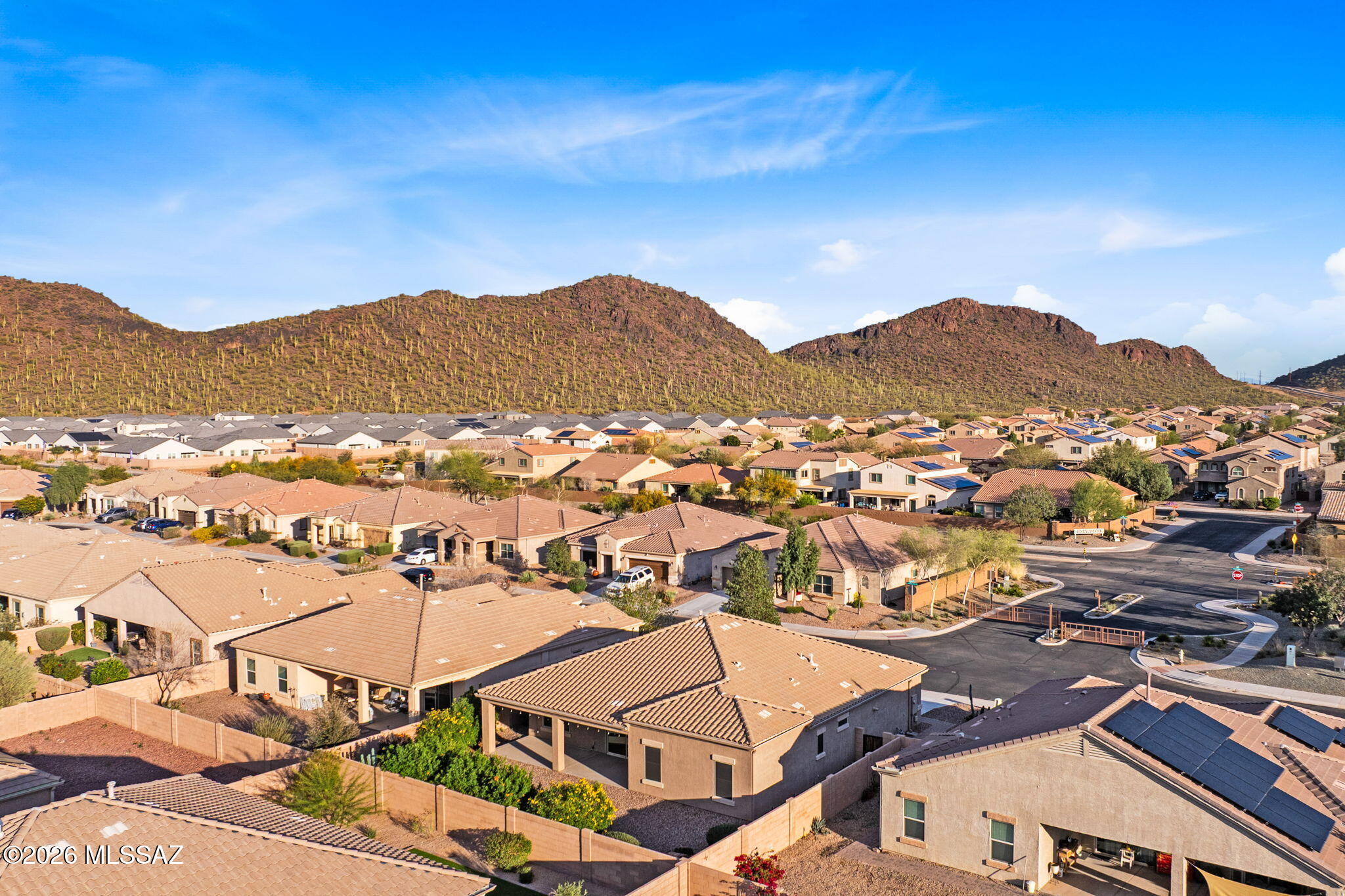 Saguaro Bloom 7B - Residential