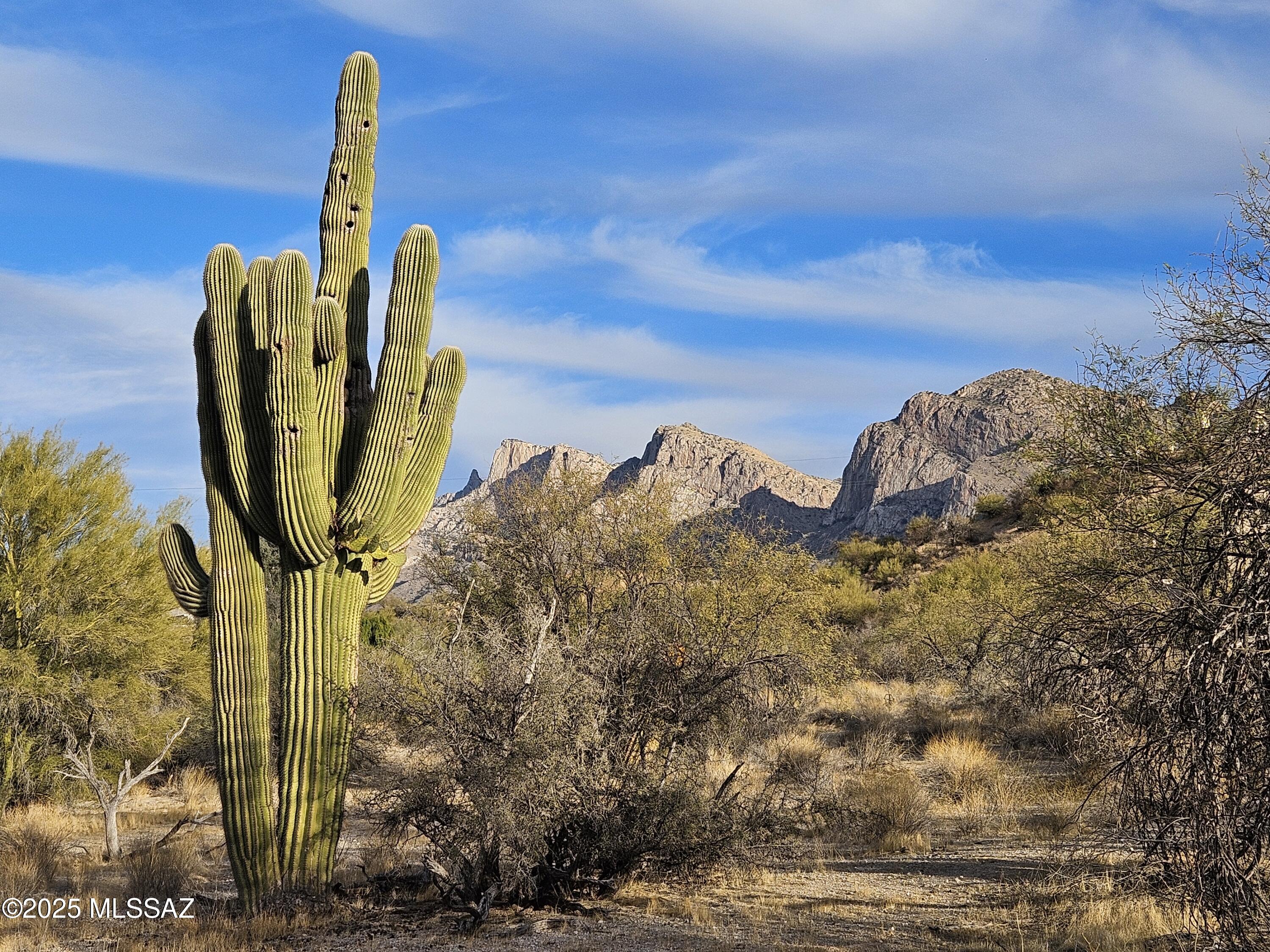 9745 N Calle Loma Linda