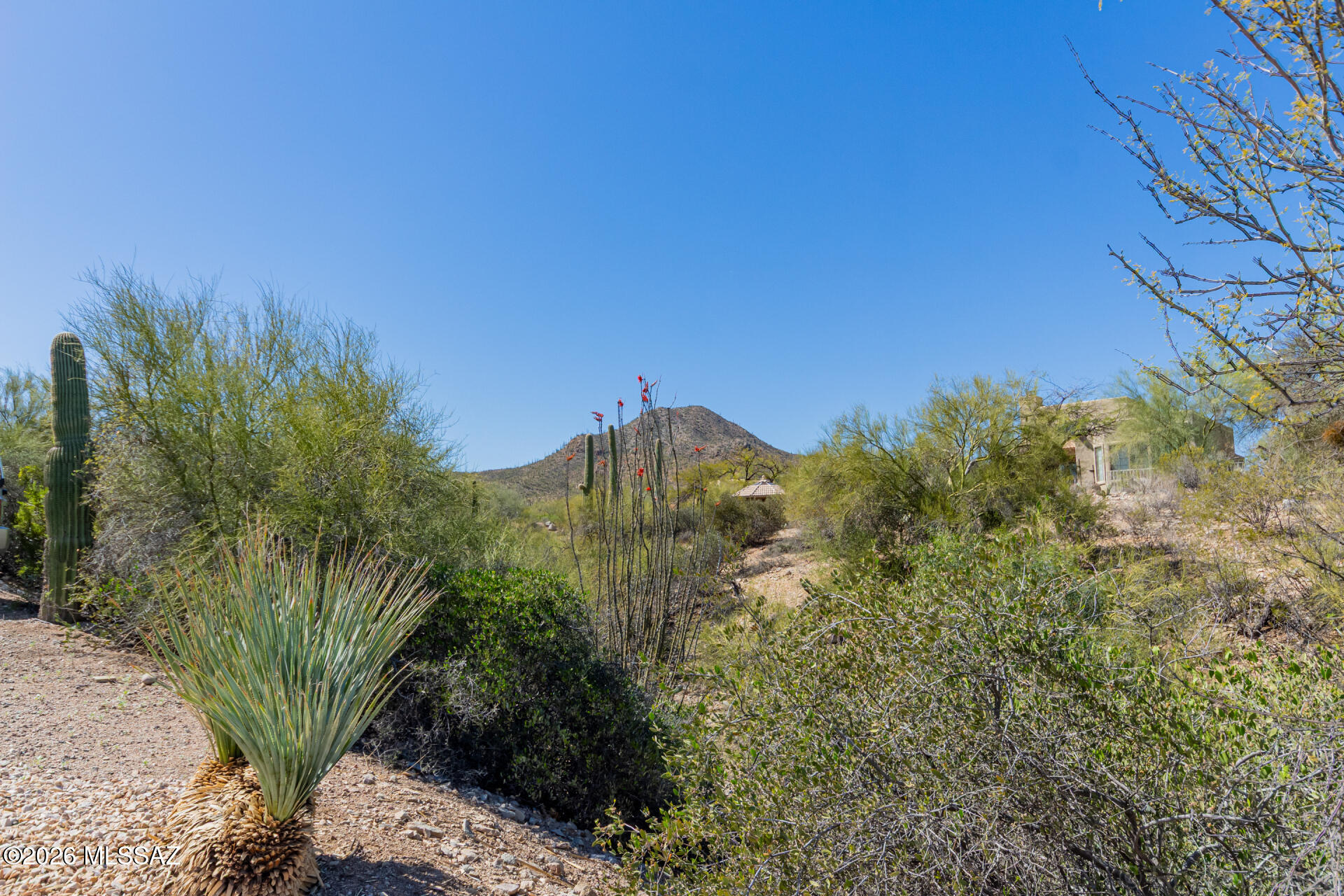 Moonrise at Starr Pass Condominium - Residential