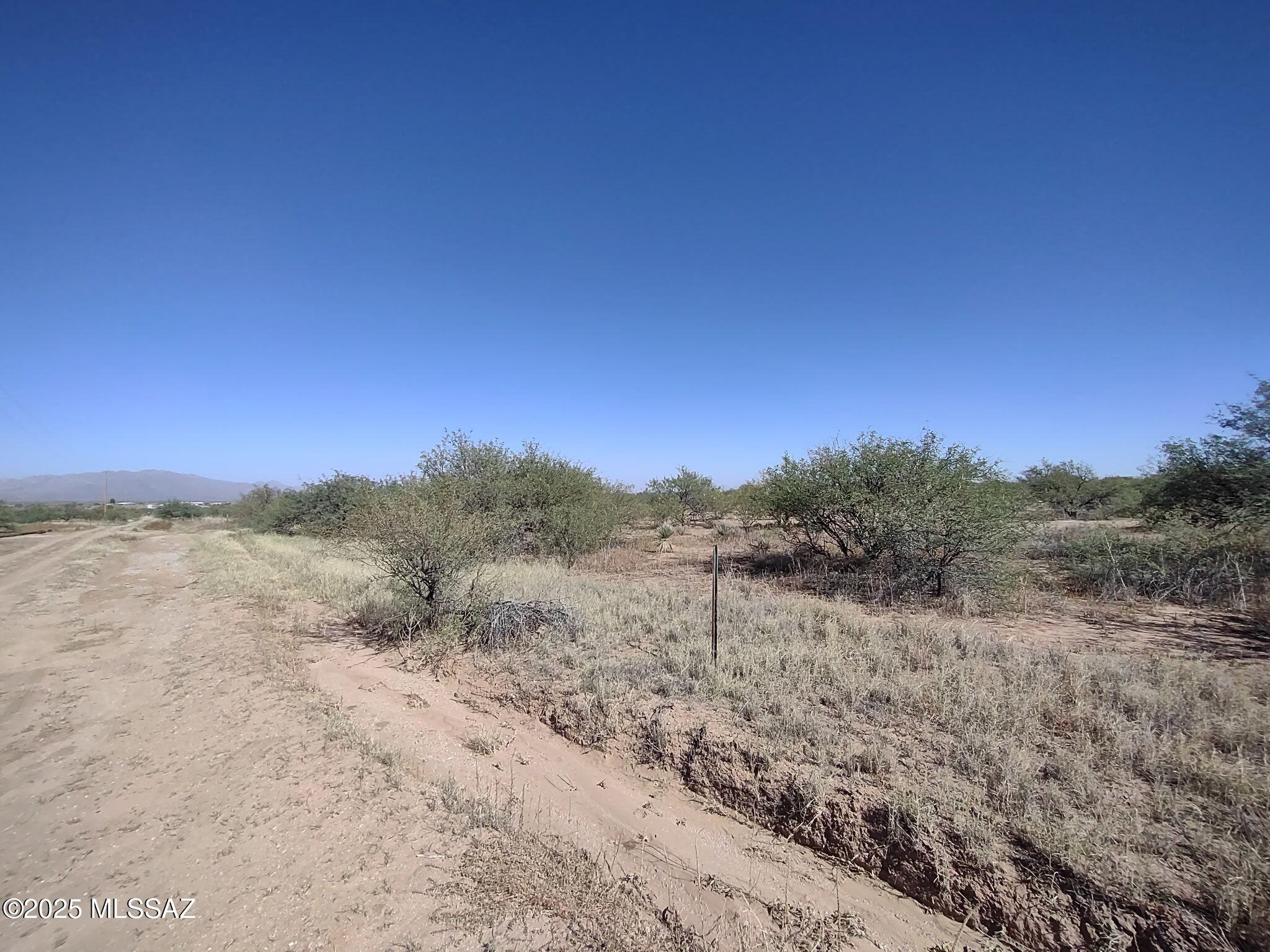 Out Of Pima County - Land