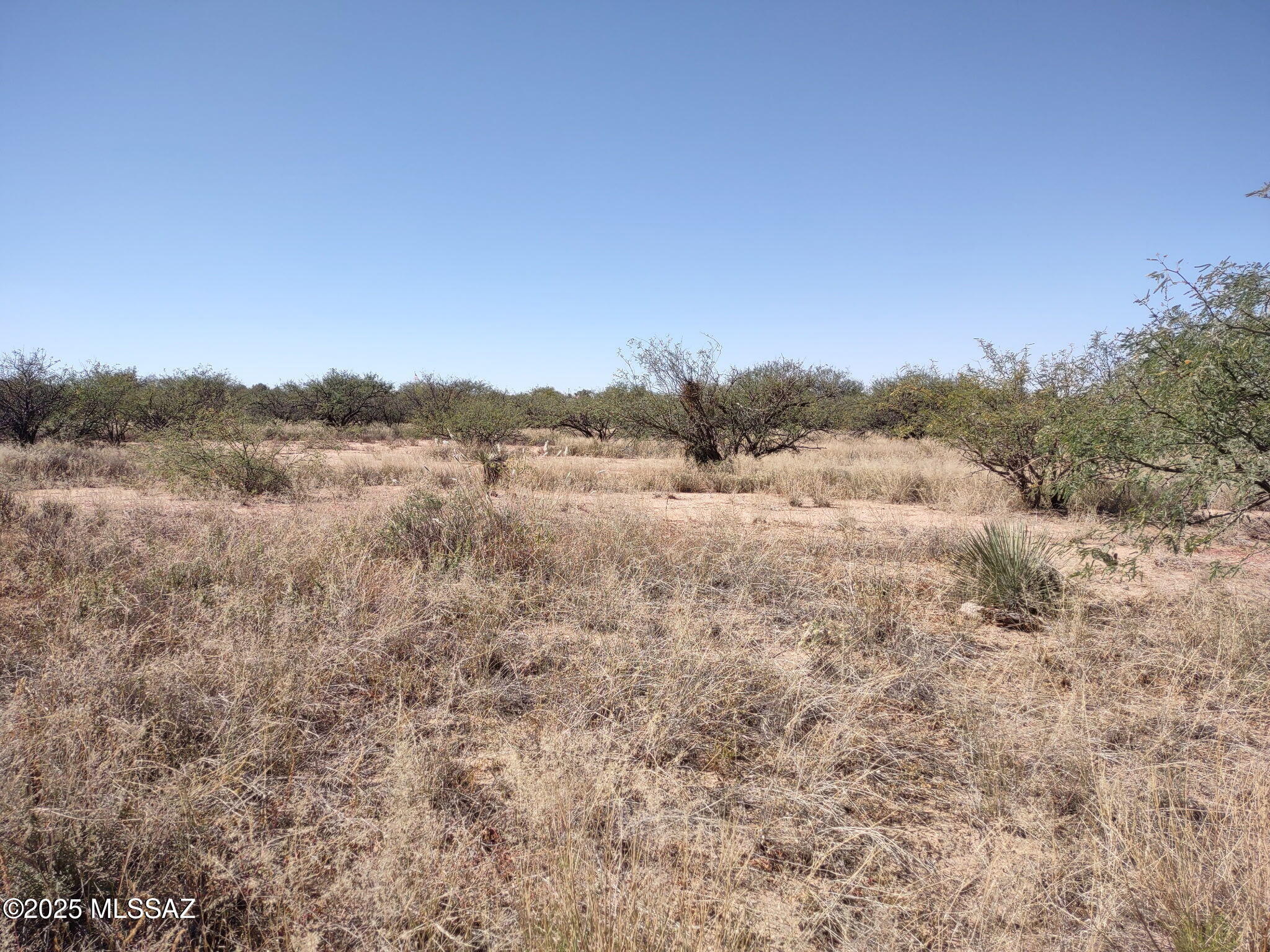 Out Of Pima County - Land