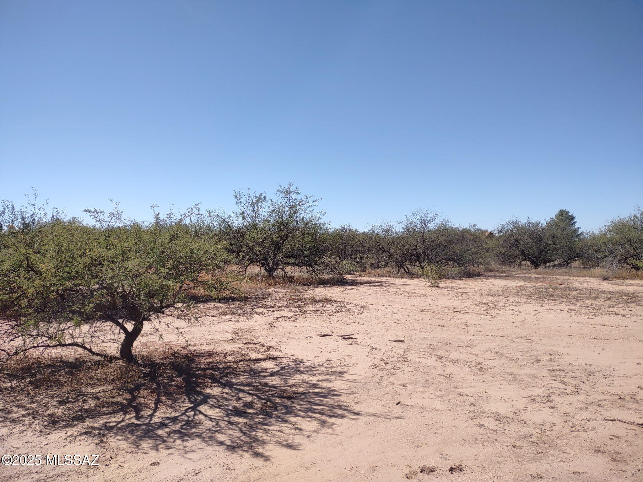 Out Of Pima County - Land