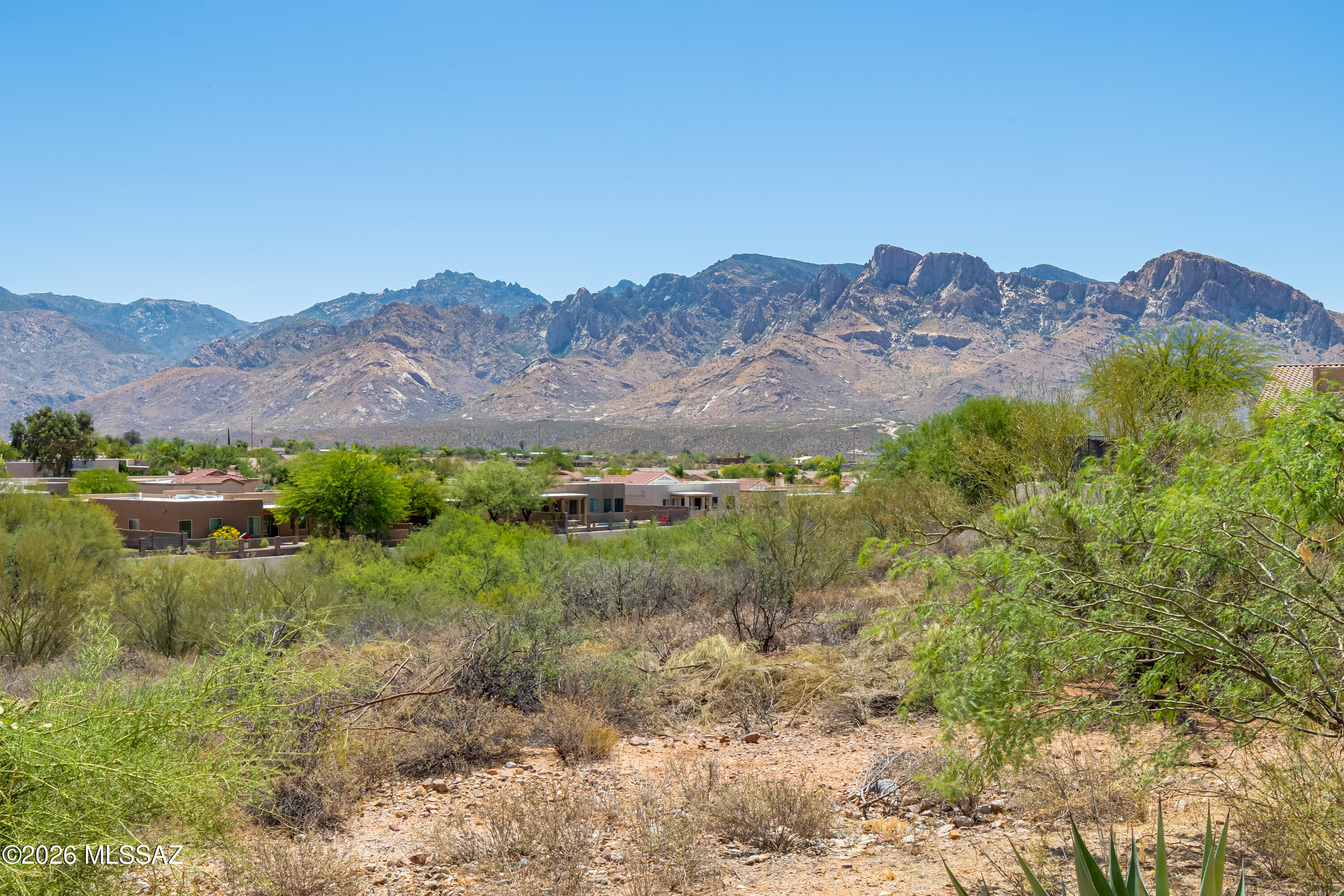 Tangerine Terrace (1-105) - Residential