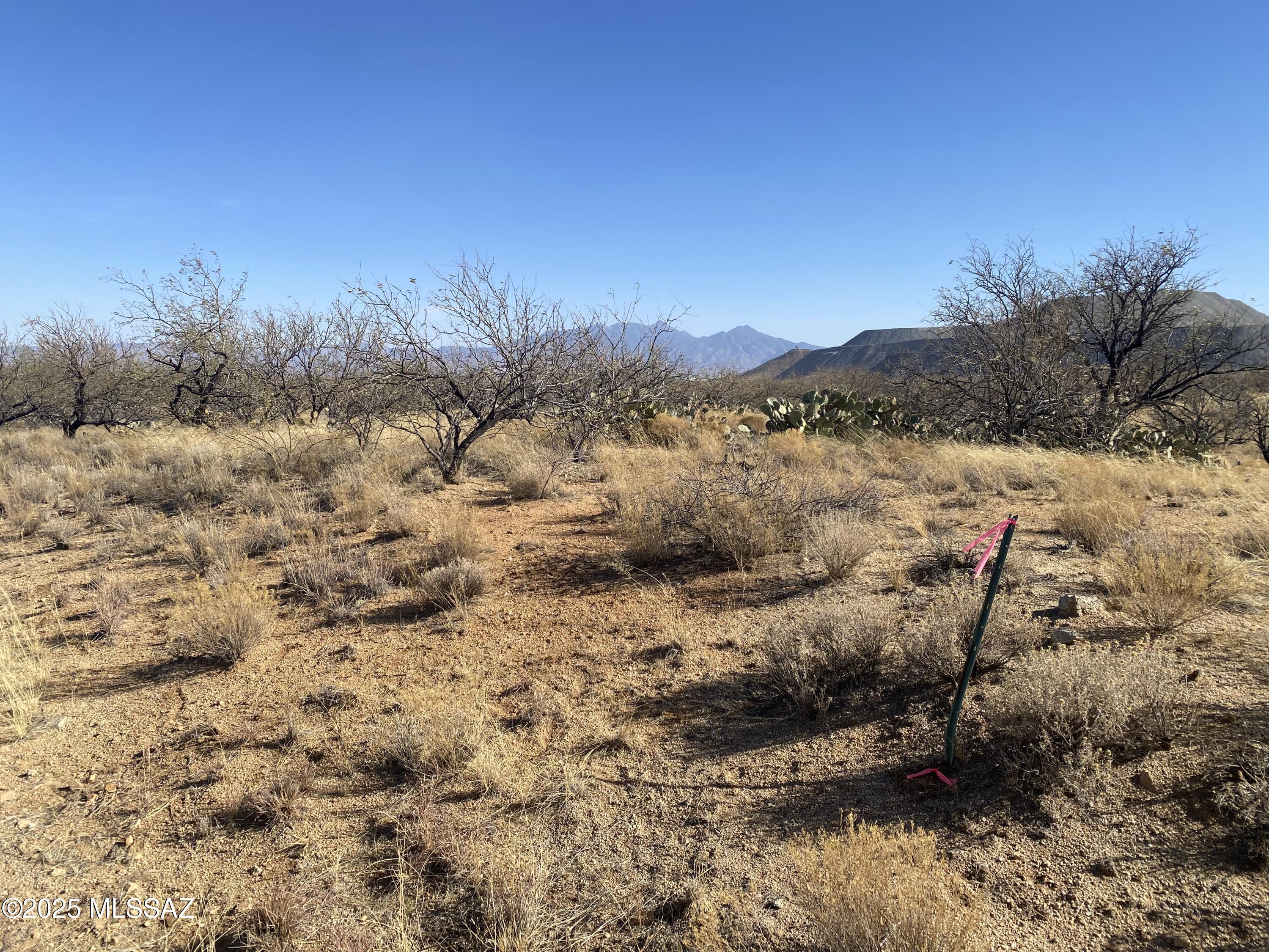 7471 W Lost Silver Lane W 171