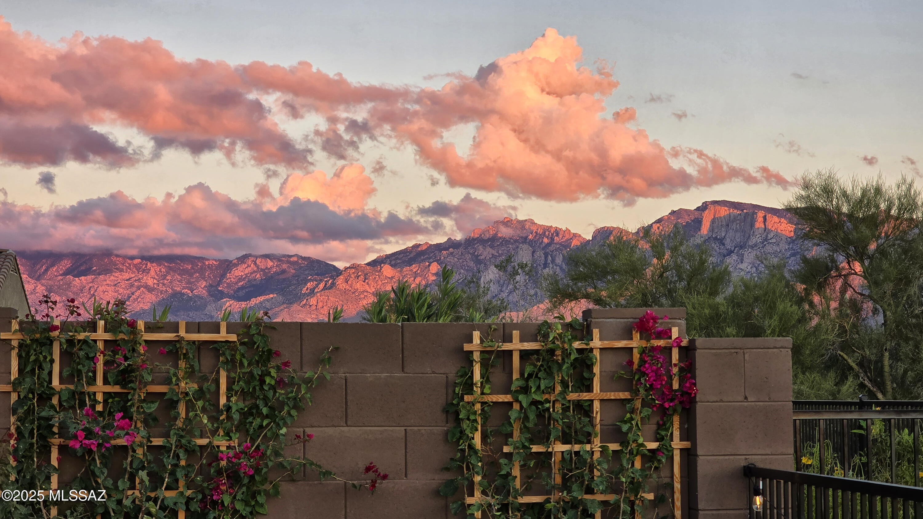 2567 W Plateau Ridge Drive