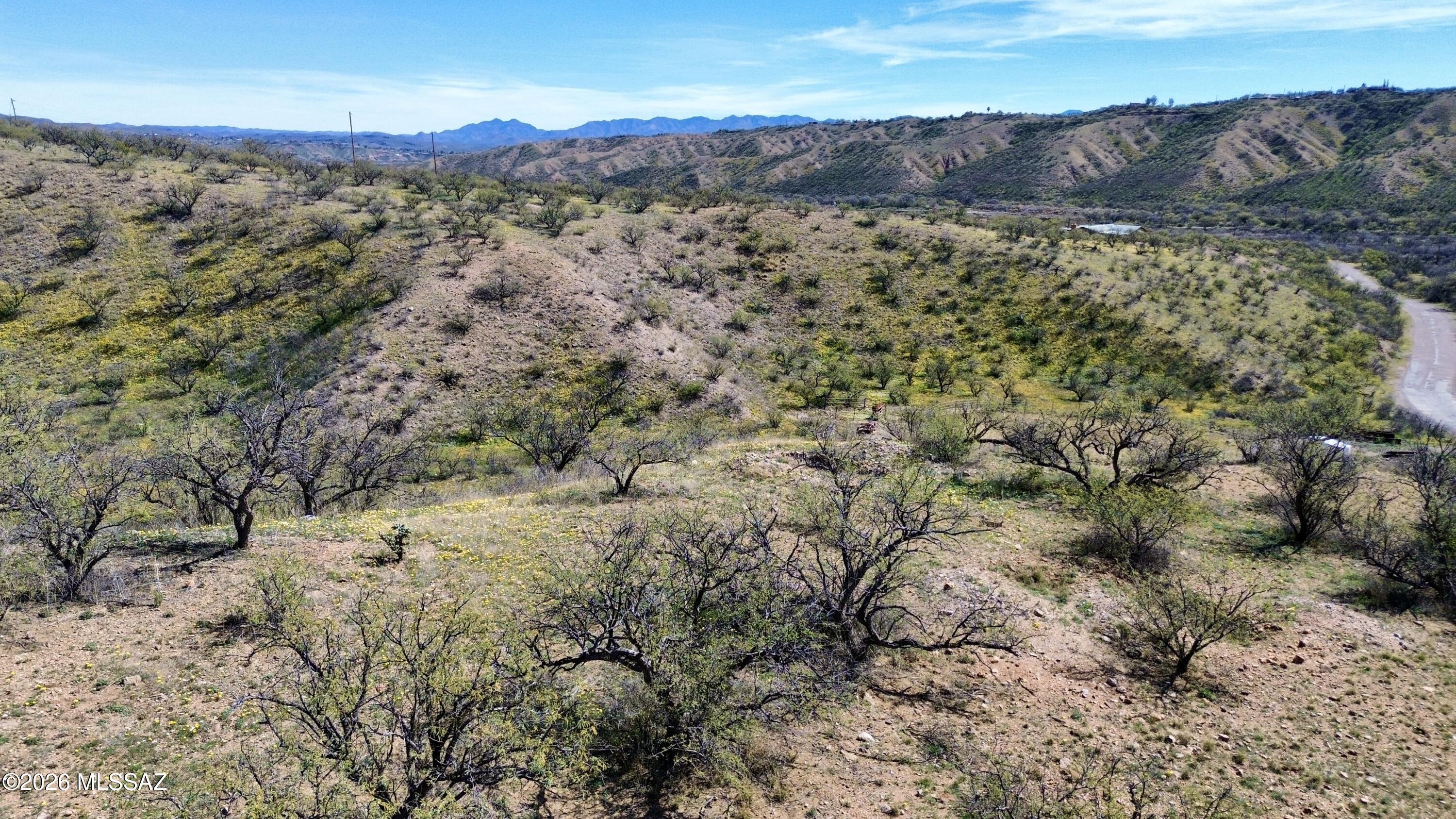 Rio Rico Estates 4 - Land