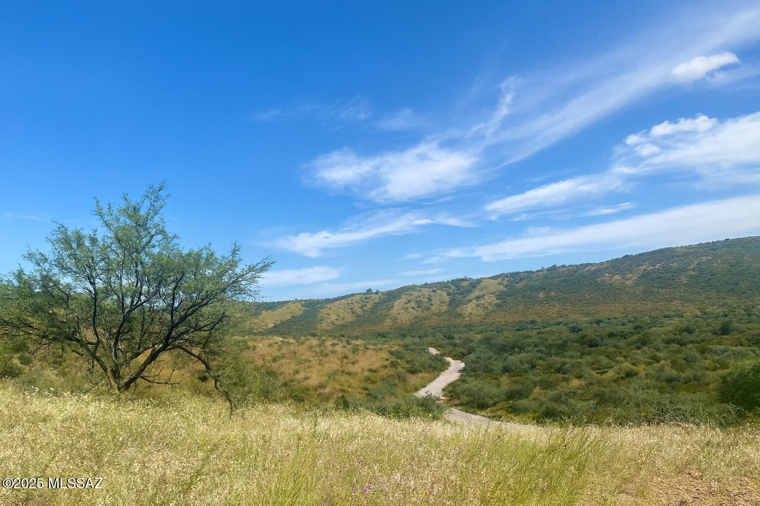 Rio Rico Estates 4 - Land