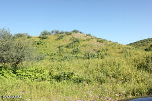 Rio Rico Estates 4 - Land