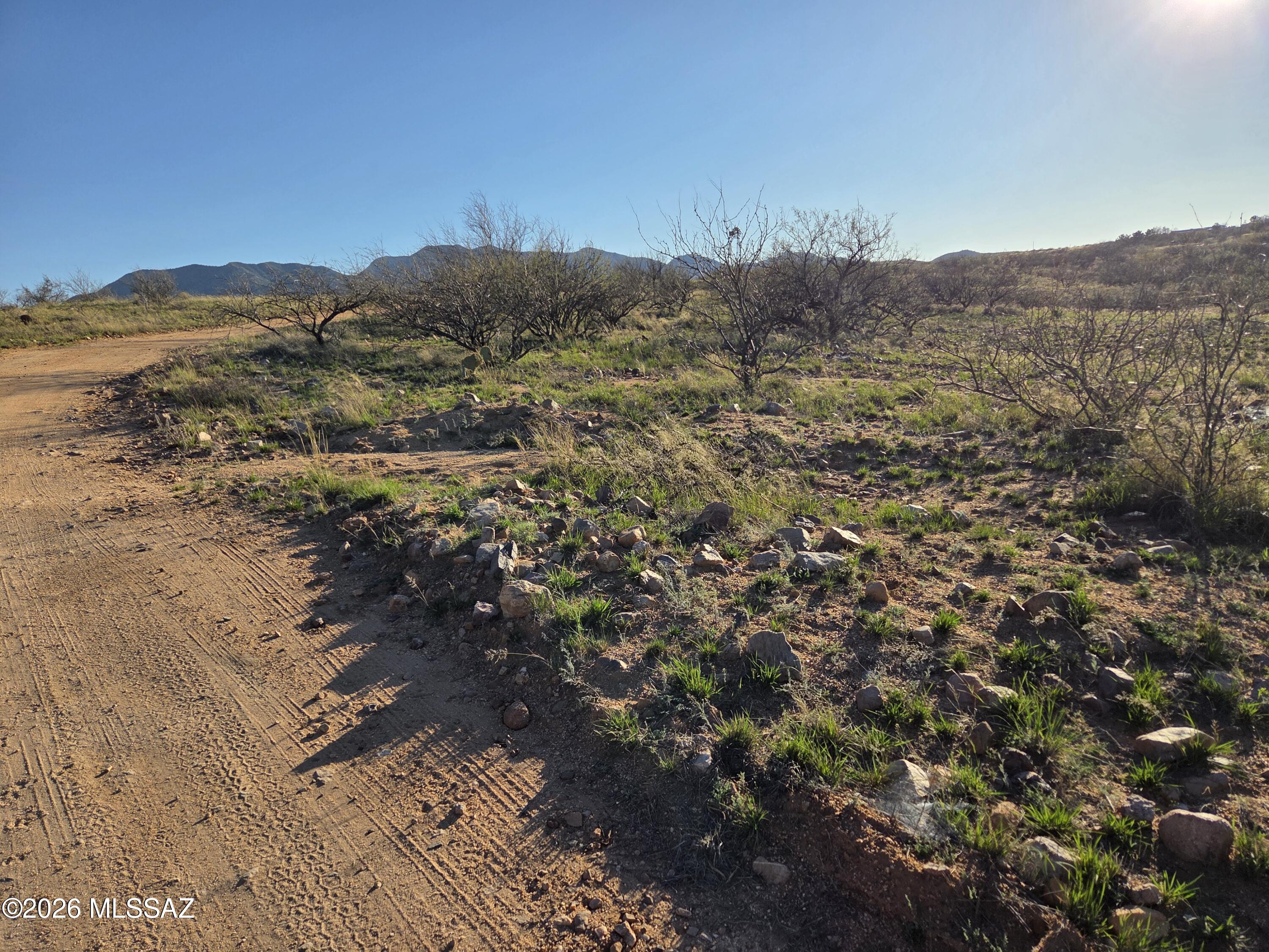 W Canary Springs Road