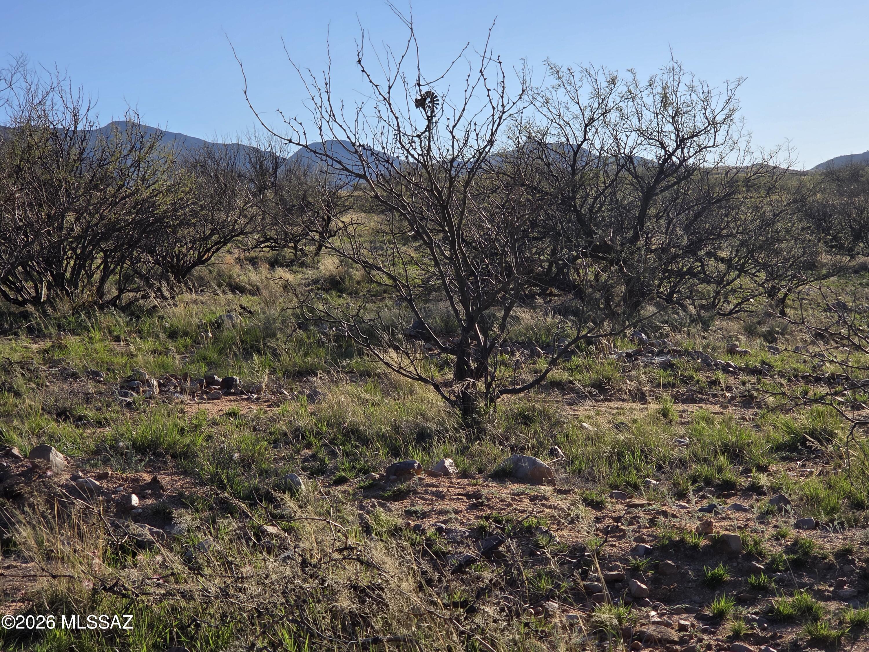 W Canary Springs Road