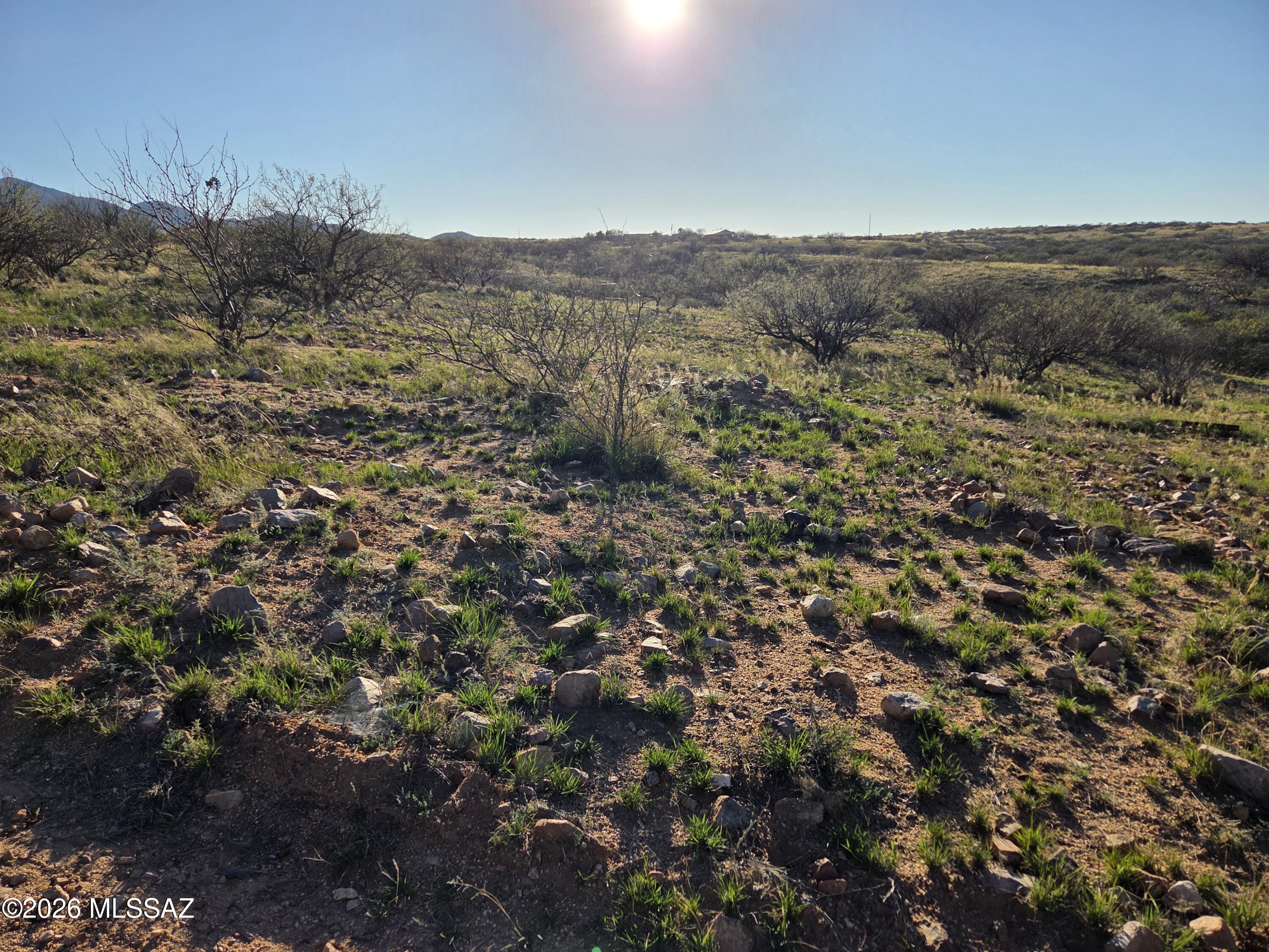 W Canary Springs Road